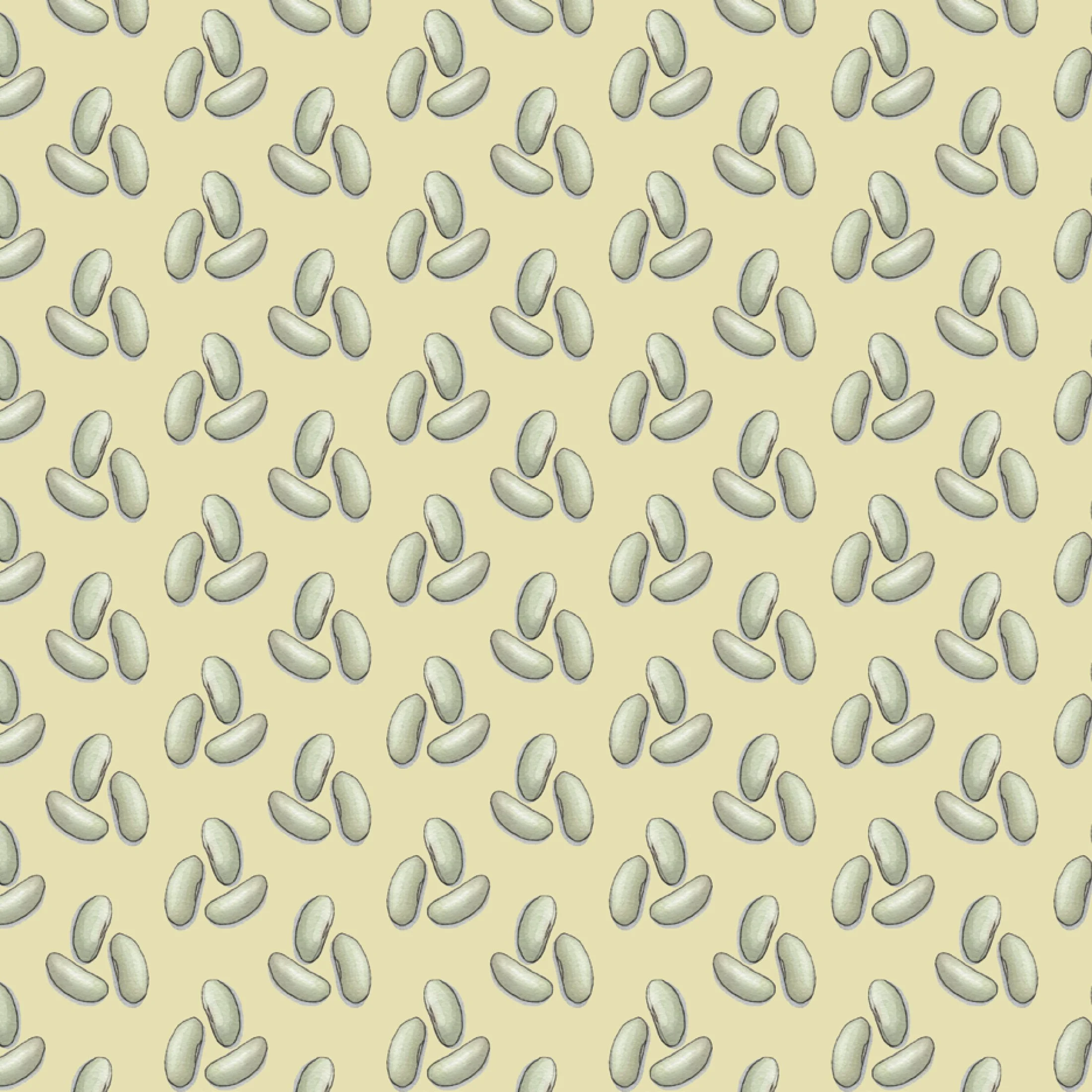 Shop_GW_Pulses_Beans3.jpg