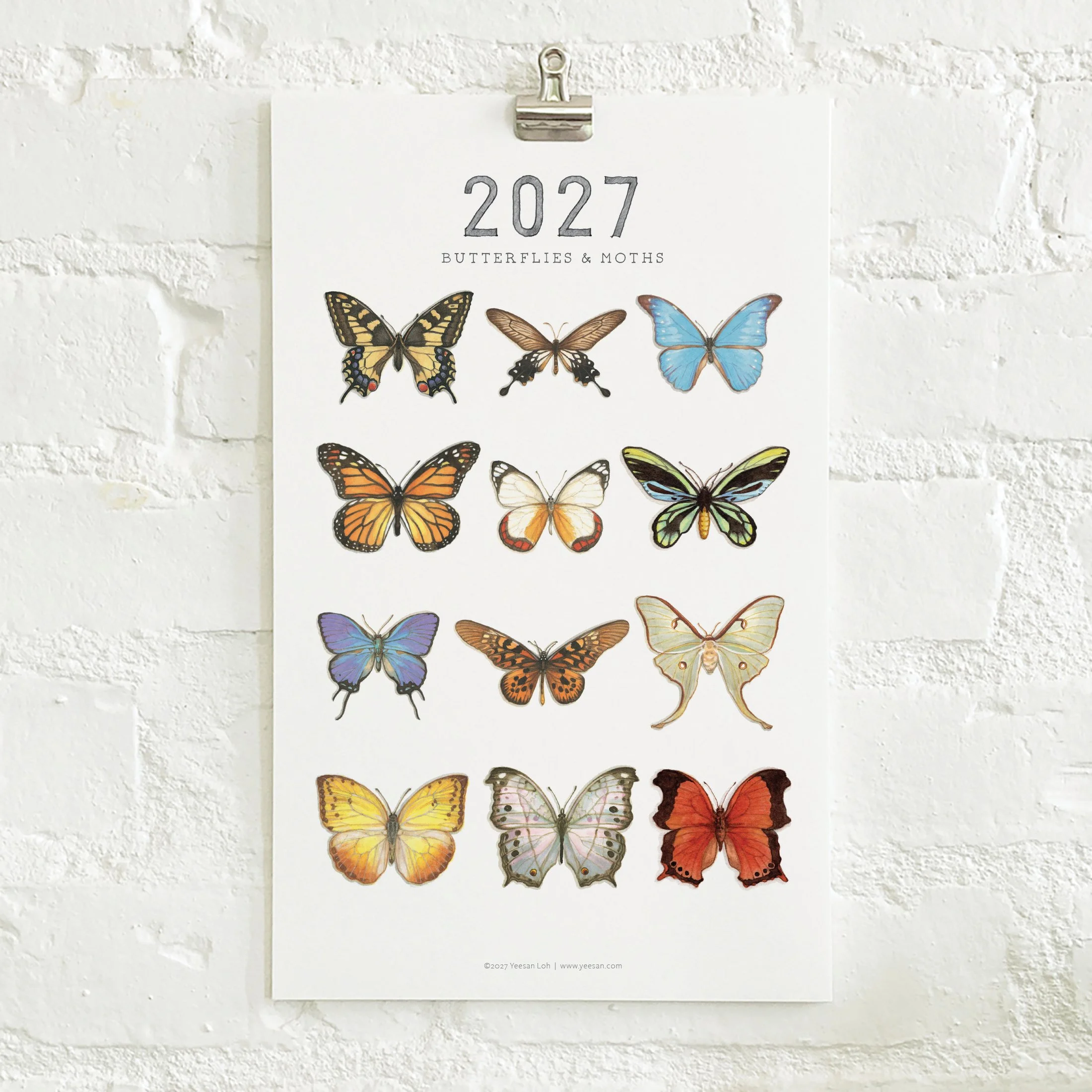 2027_shop_CAL_B&M2.jpg