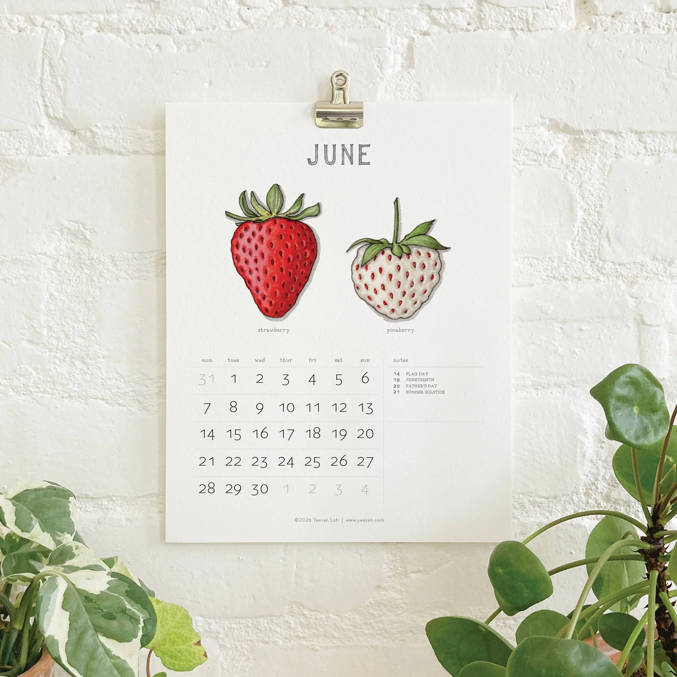 2027_shop_CAL_Berries8.jpg