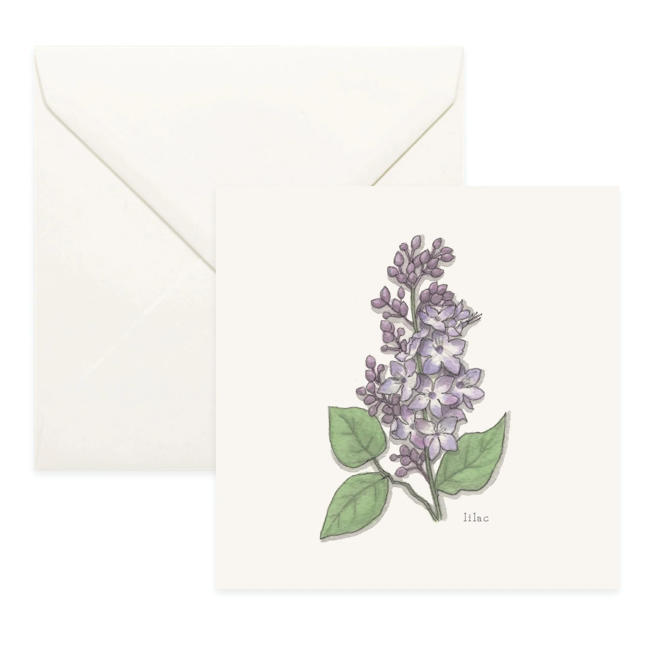 Shop_Cards_Flowers15.jpg