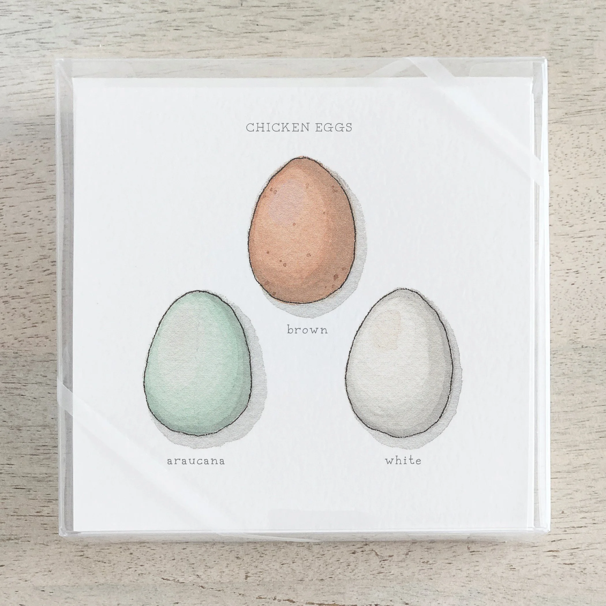 Shop_Box Set_Eggs.jpg