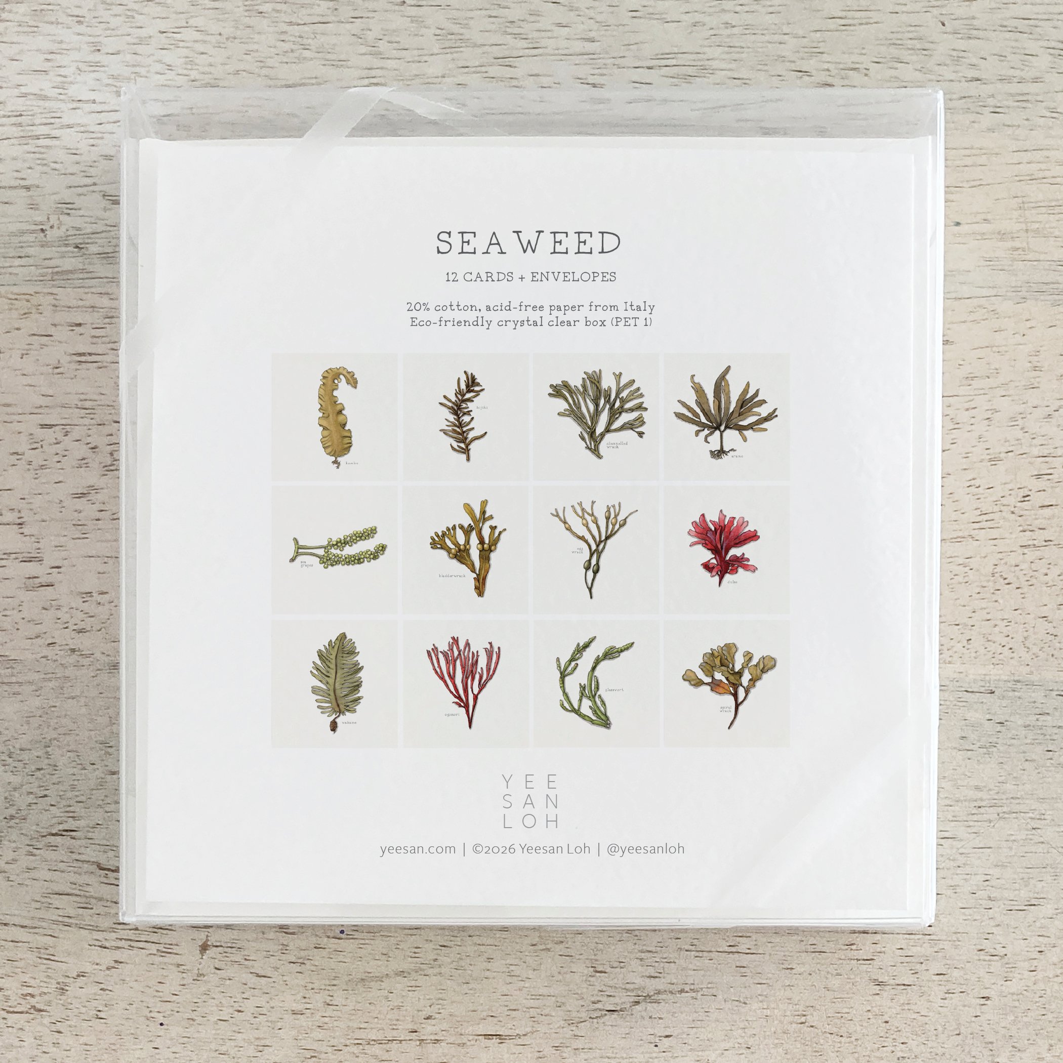 Shop_Box Set_Seaweed6.jpg