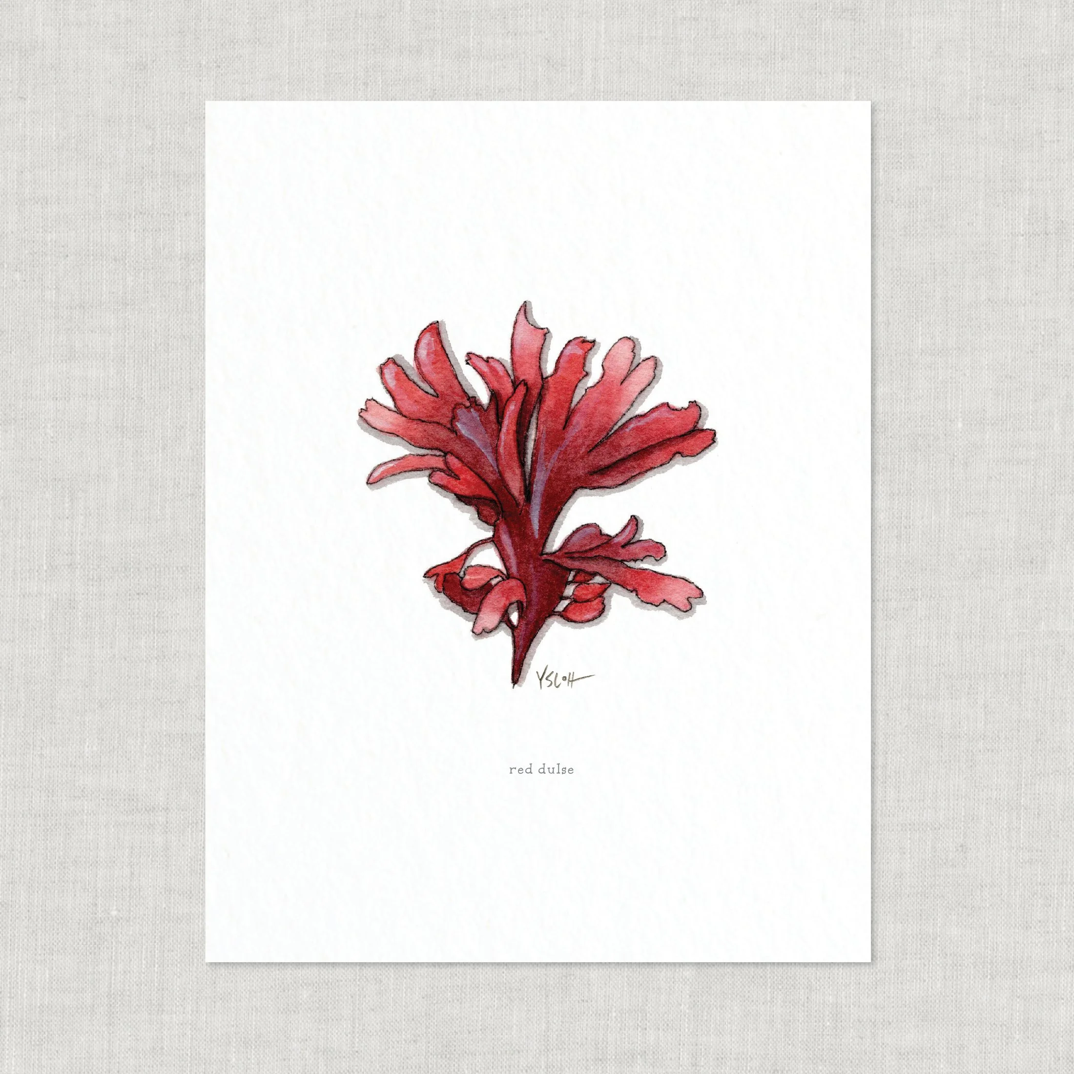 Shop_Prints_8.5x11_Seaweed18.jpg