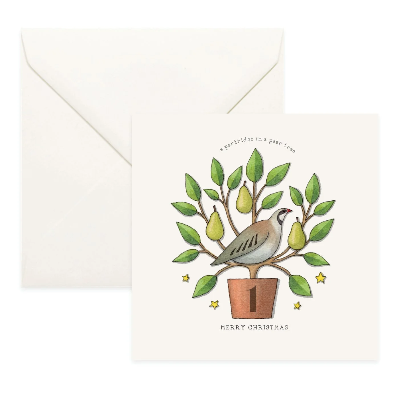 Shop_Cards_Folded_12 Days.jpg