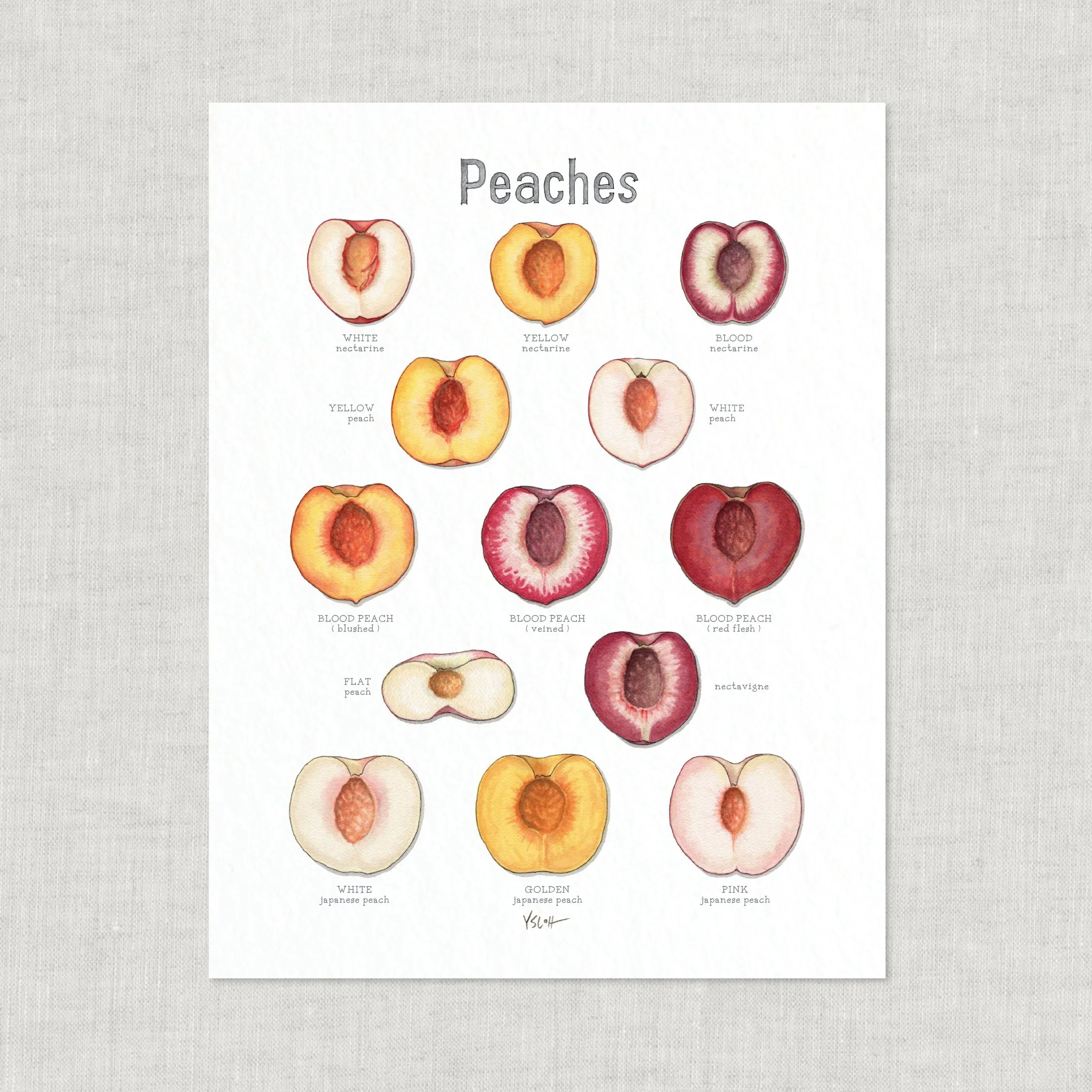 Shop_Prints_8.5x11_Peaches3.jpg