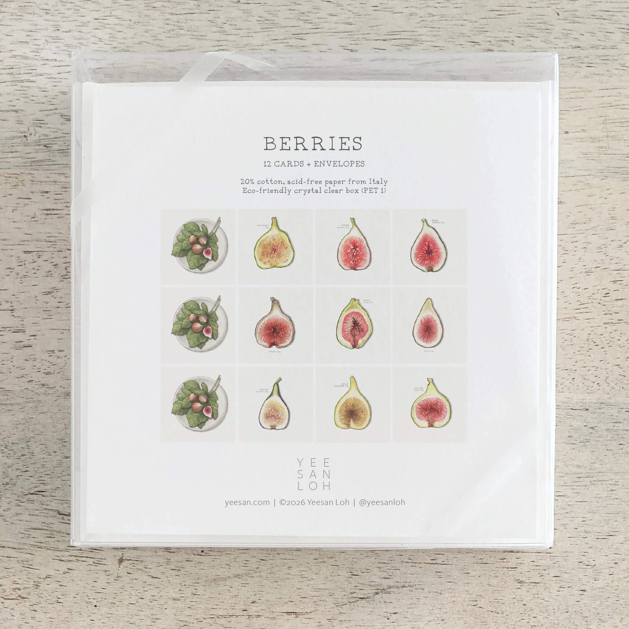 Shop_Box Set_Figs6.jpg