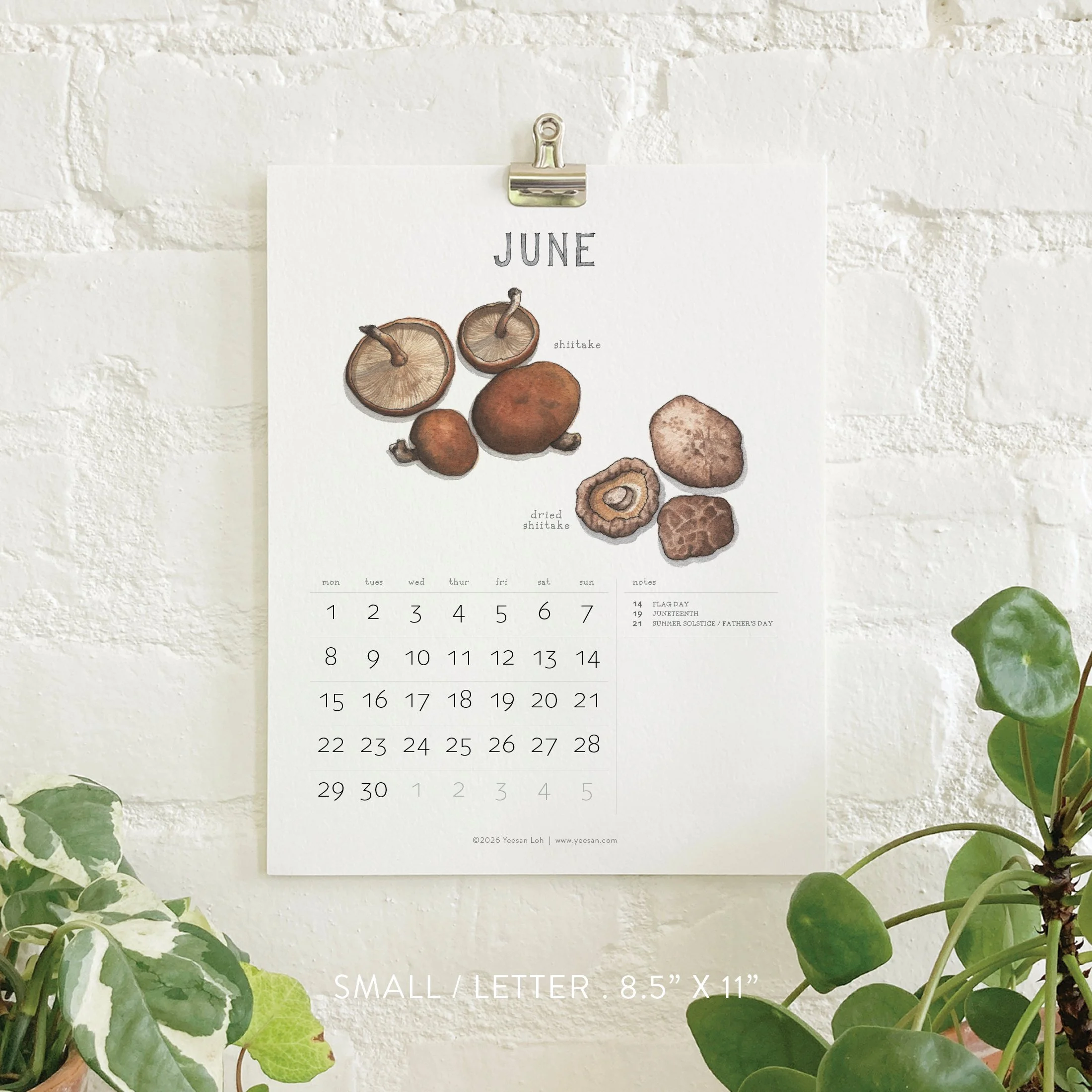 2026_shop_Calendars_Mushrooms7.jpg