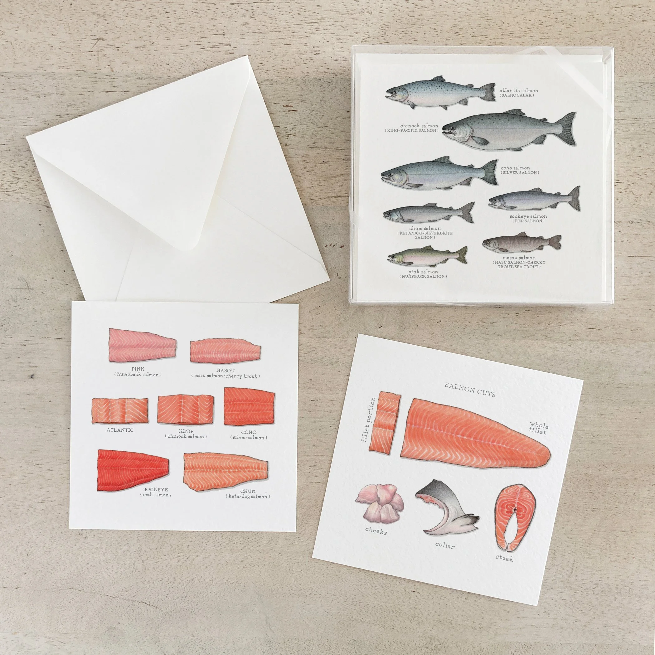 Salmon | Box Set Cards