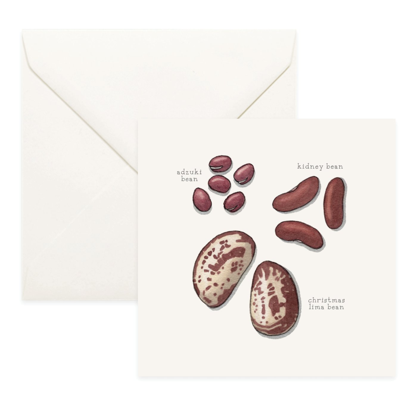Shop_Cards_Pulses9.jpg