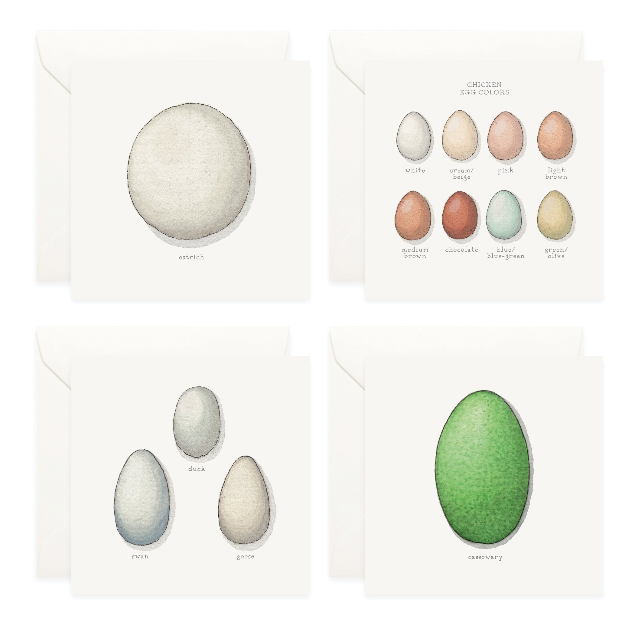 Shop_Box Set_Eggs4.jpg