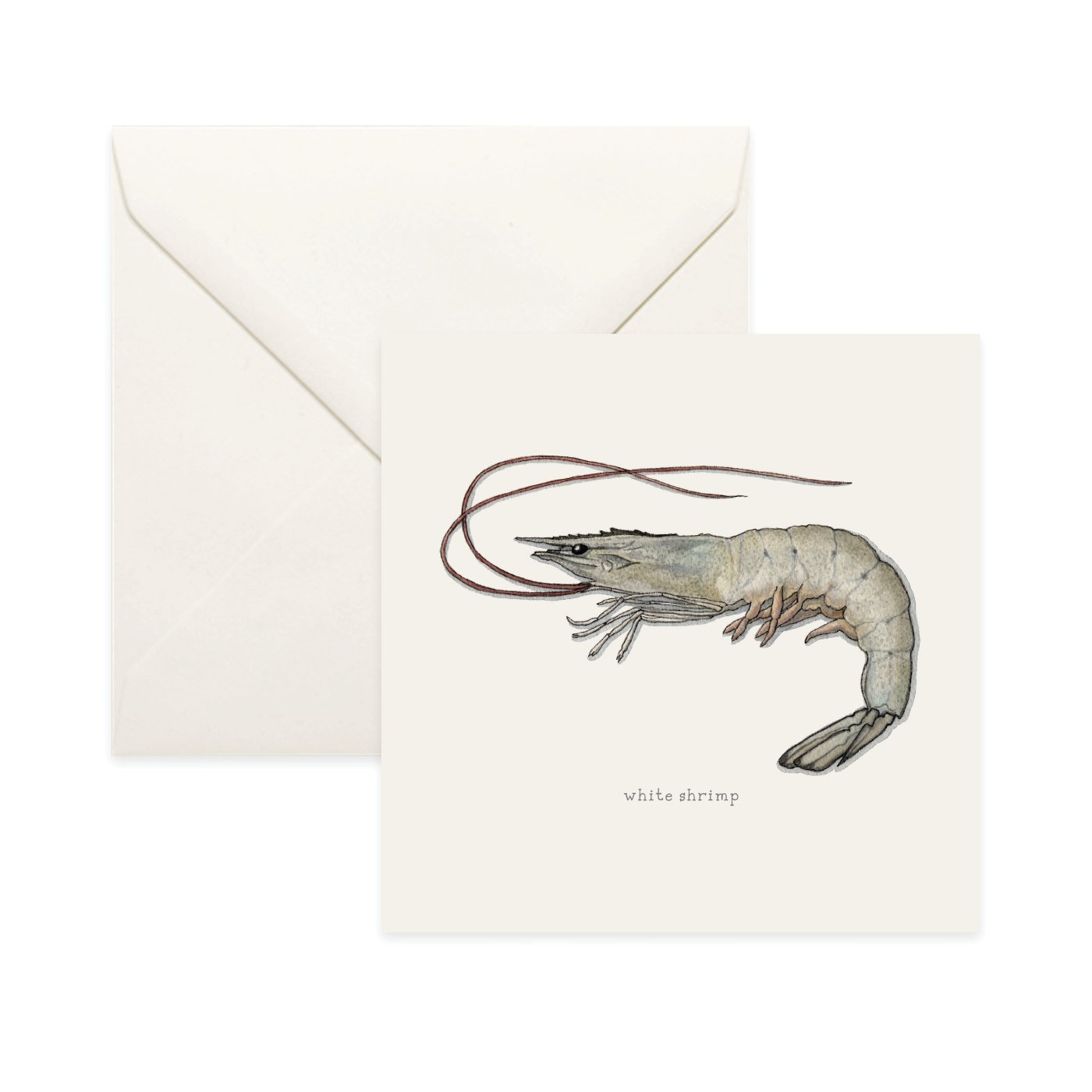 Shop_Card_Shrimp11.jpg