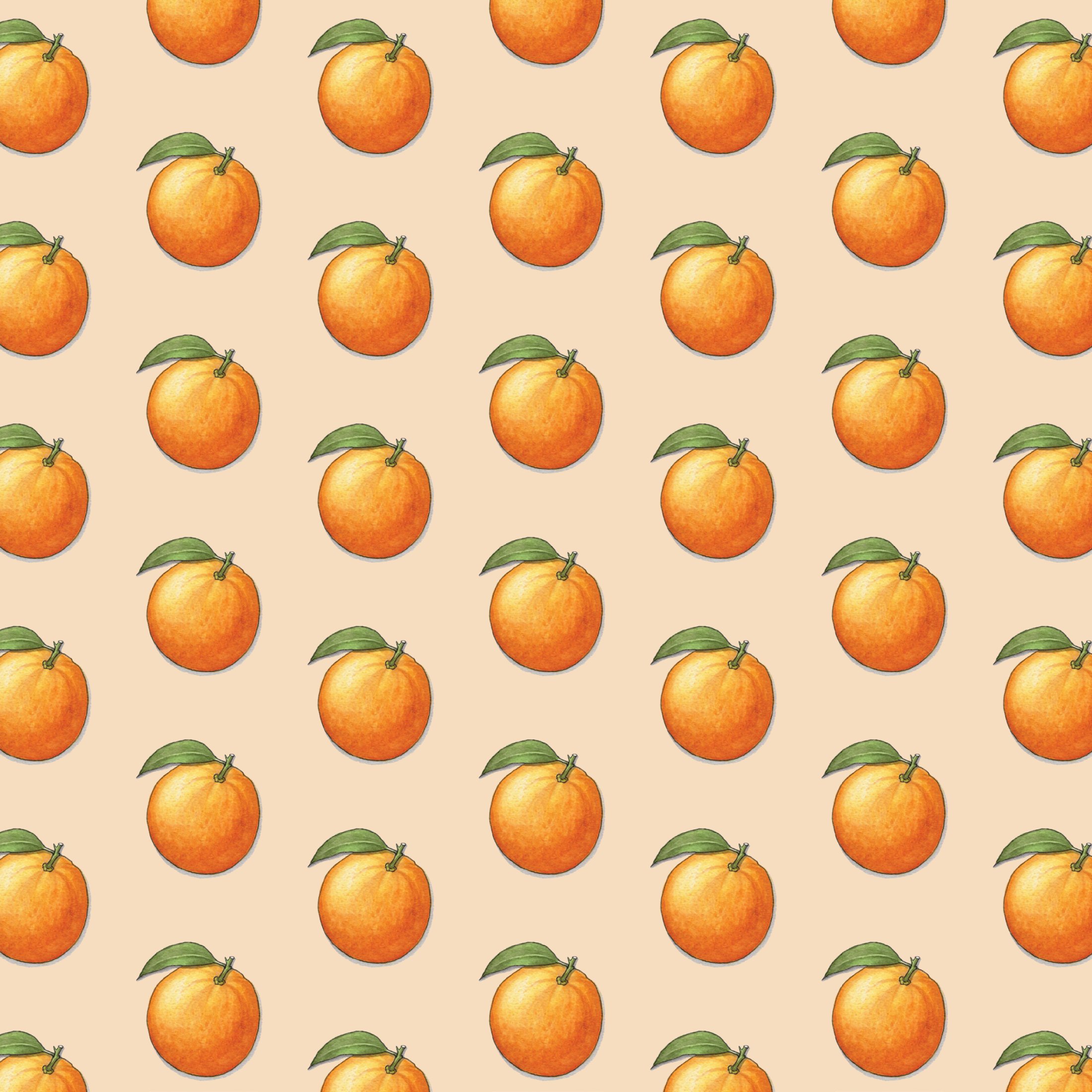 Shop_GW_Oranges6.jpg