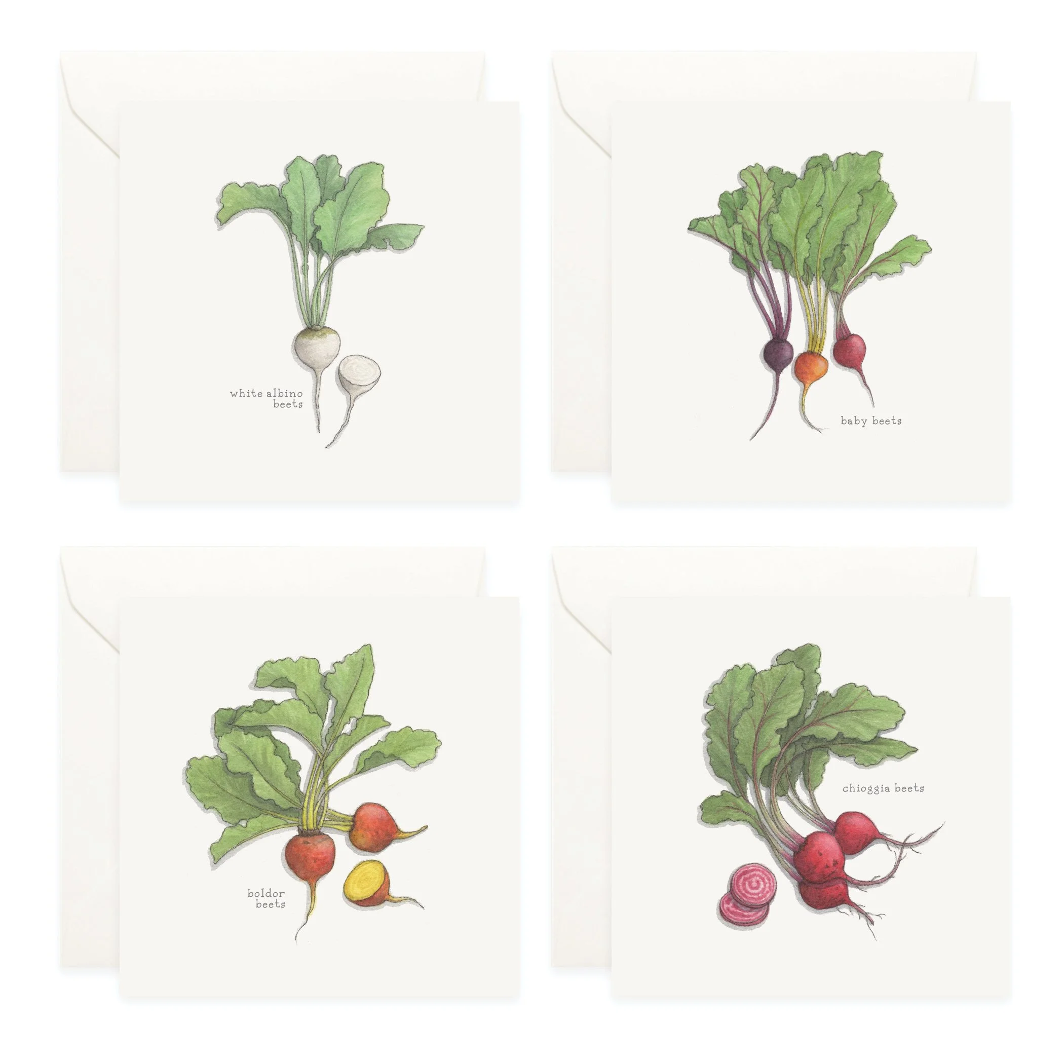 Shop_Box Set_Beets3.jpg