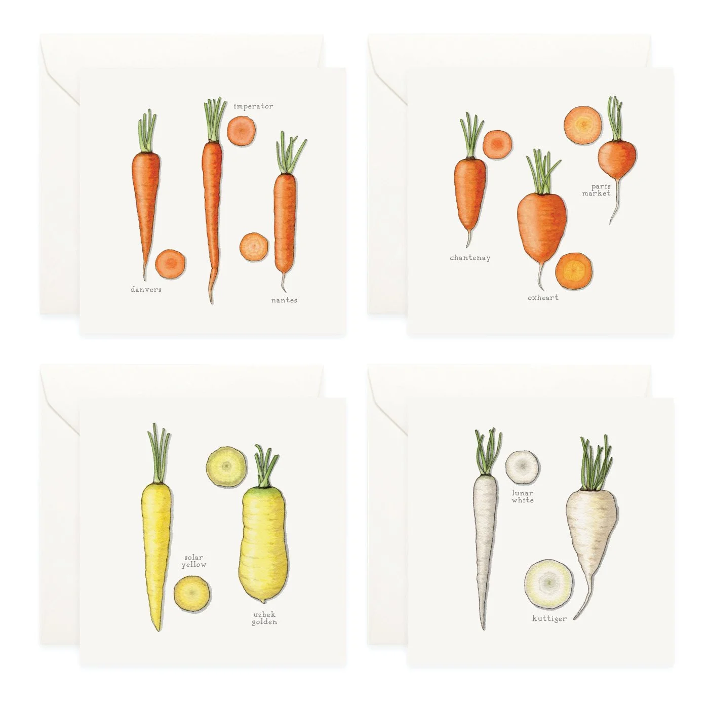 Shop_Box Set_Carrots3.jpg