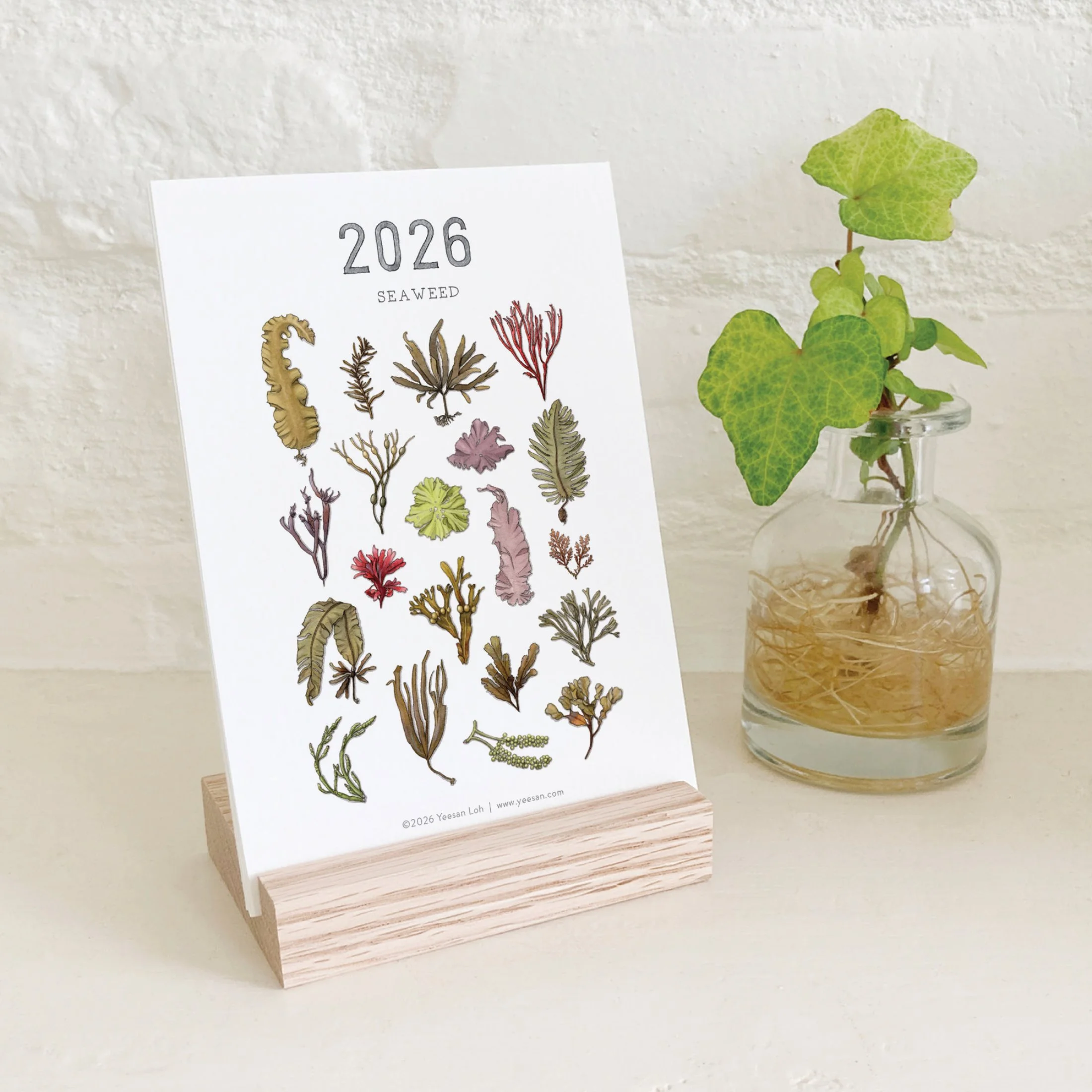 2026_shop_Calendars_Seaweed10.jpg