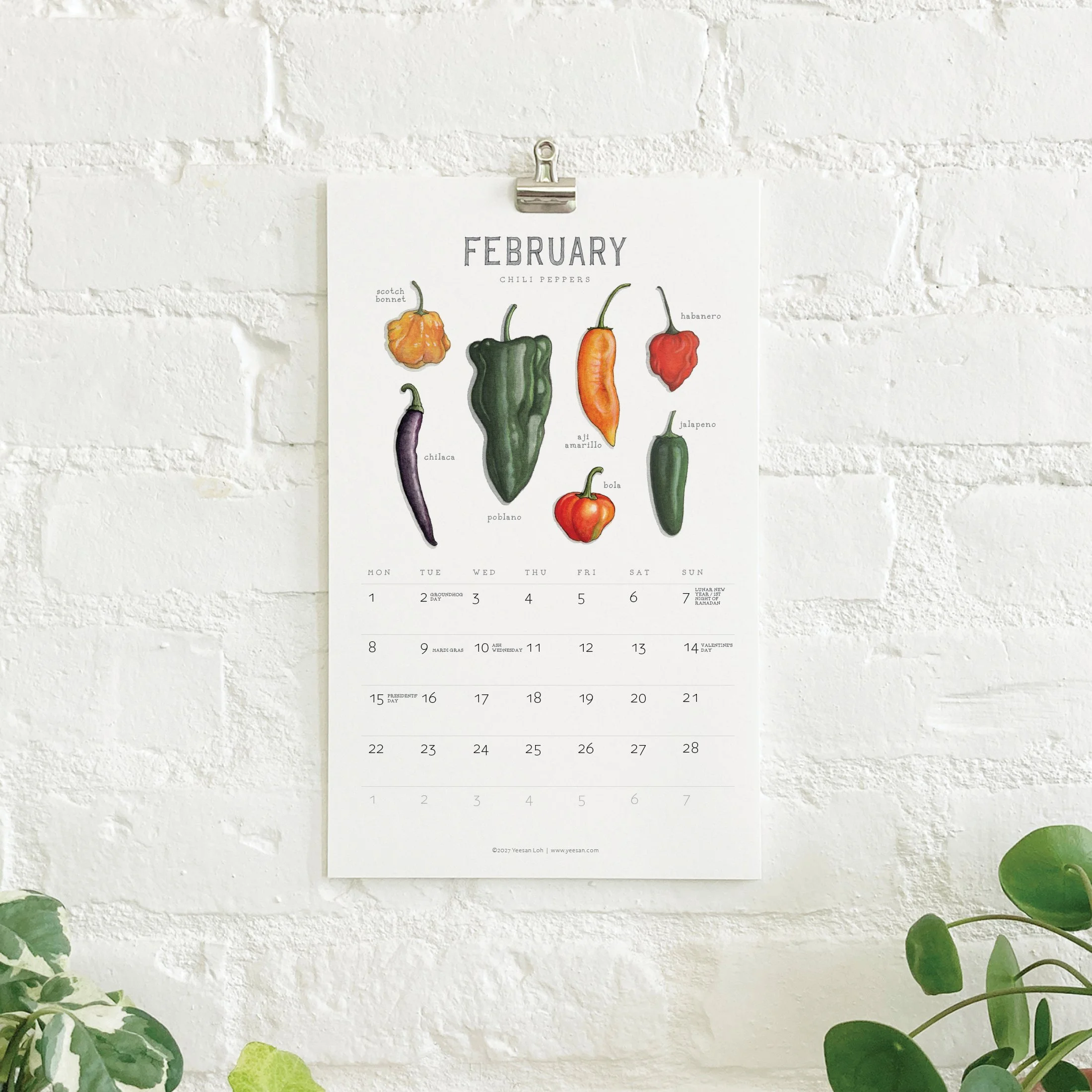 2027_shop_CAL_Vegetables4.jpg