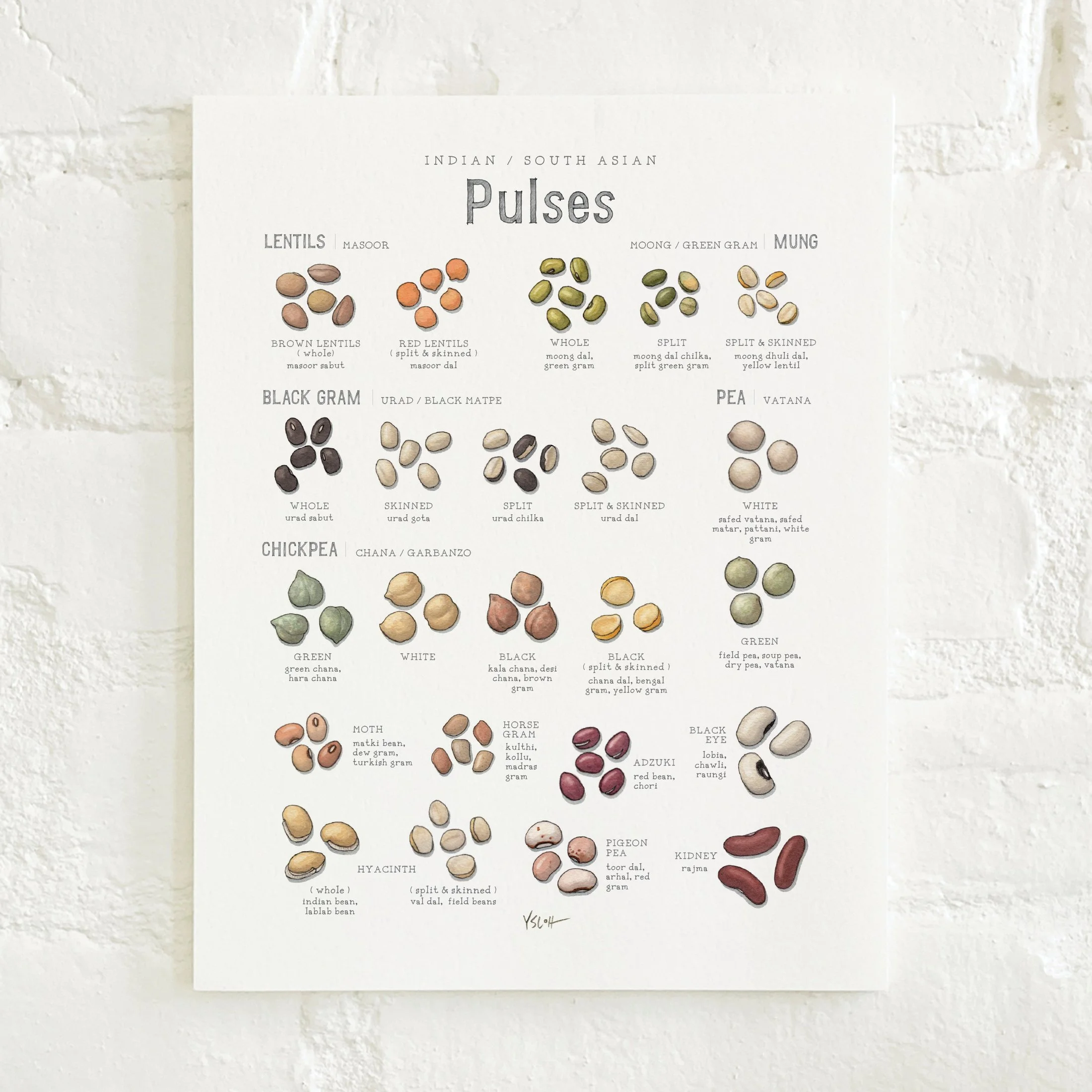Shop_Prints_8.5x11_Pulses8.jpg