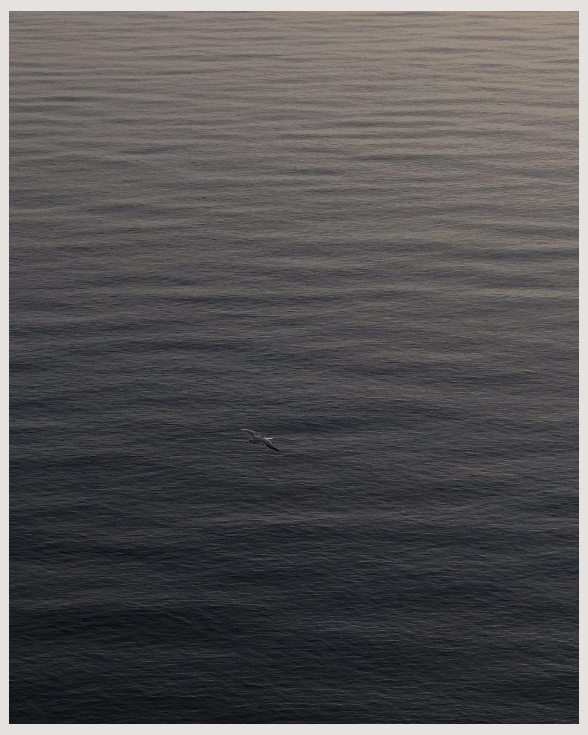 Marbella Spain ChiarelloBeltran 19.jpg