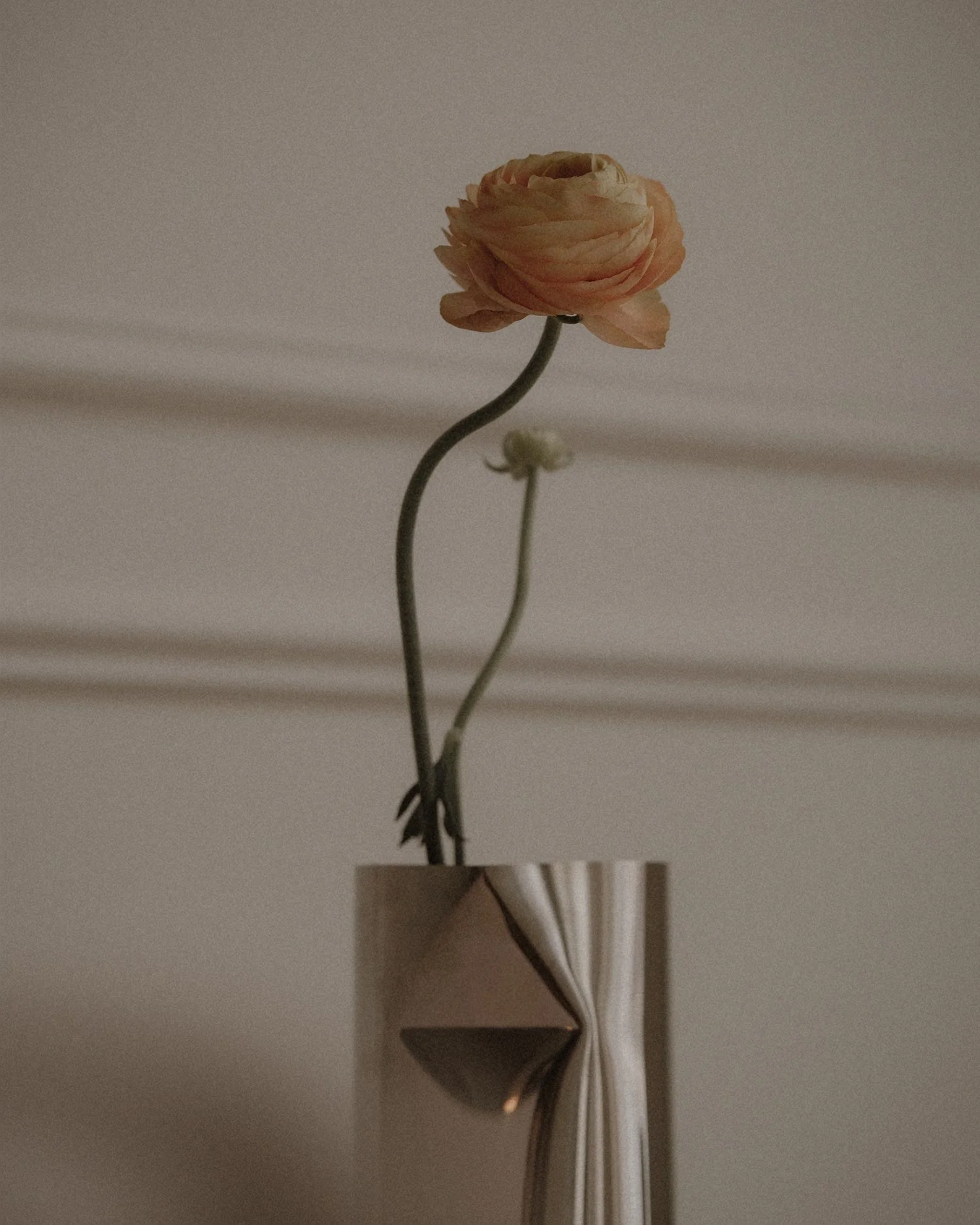 ChiarelloBeltran_Stilllife4.jpg