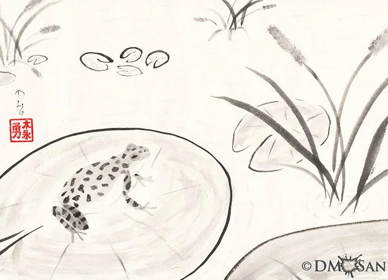 Frog on Lilypad