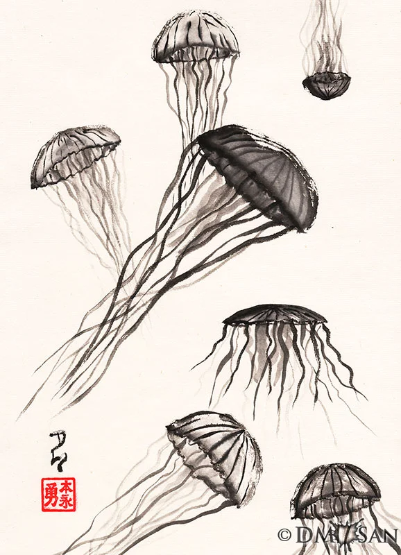 Jellyfish