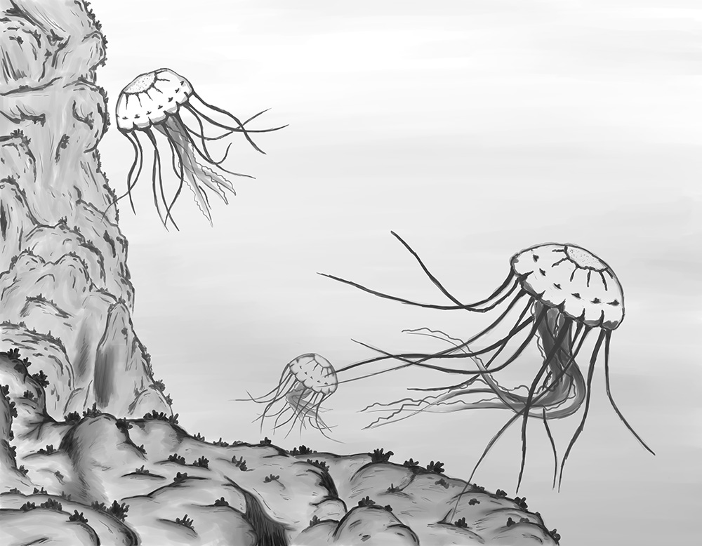 Digital sketch done on the Cintiq Companion 2.