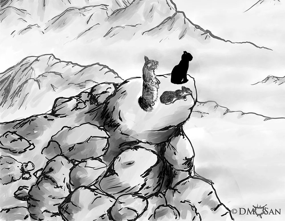 catventures-bw.jpg