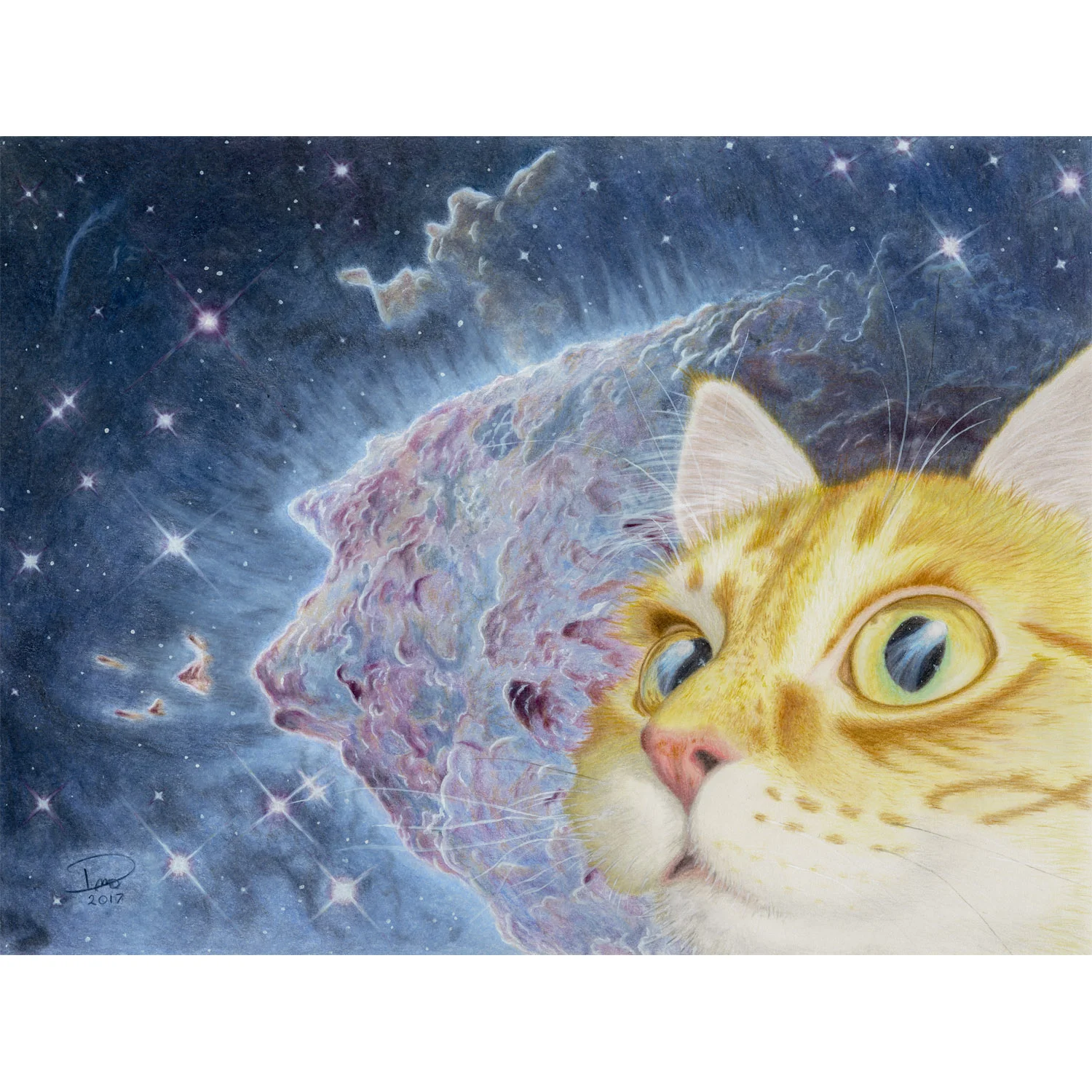 Oz in Space 12x16 360ppi-square.jpg