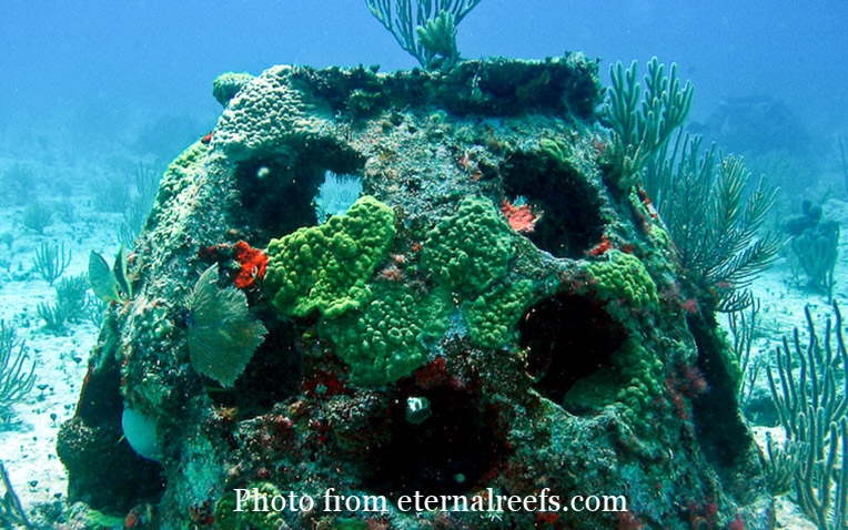 Eternal-Reefs-burial-at-sea-reef-ball-1.jpg