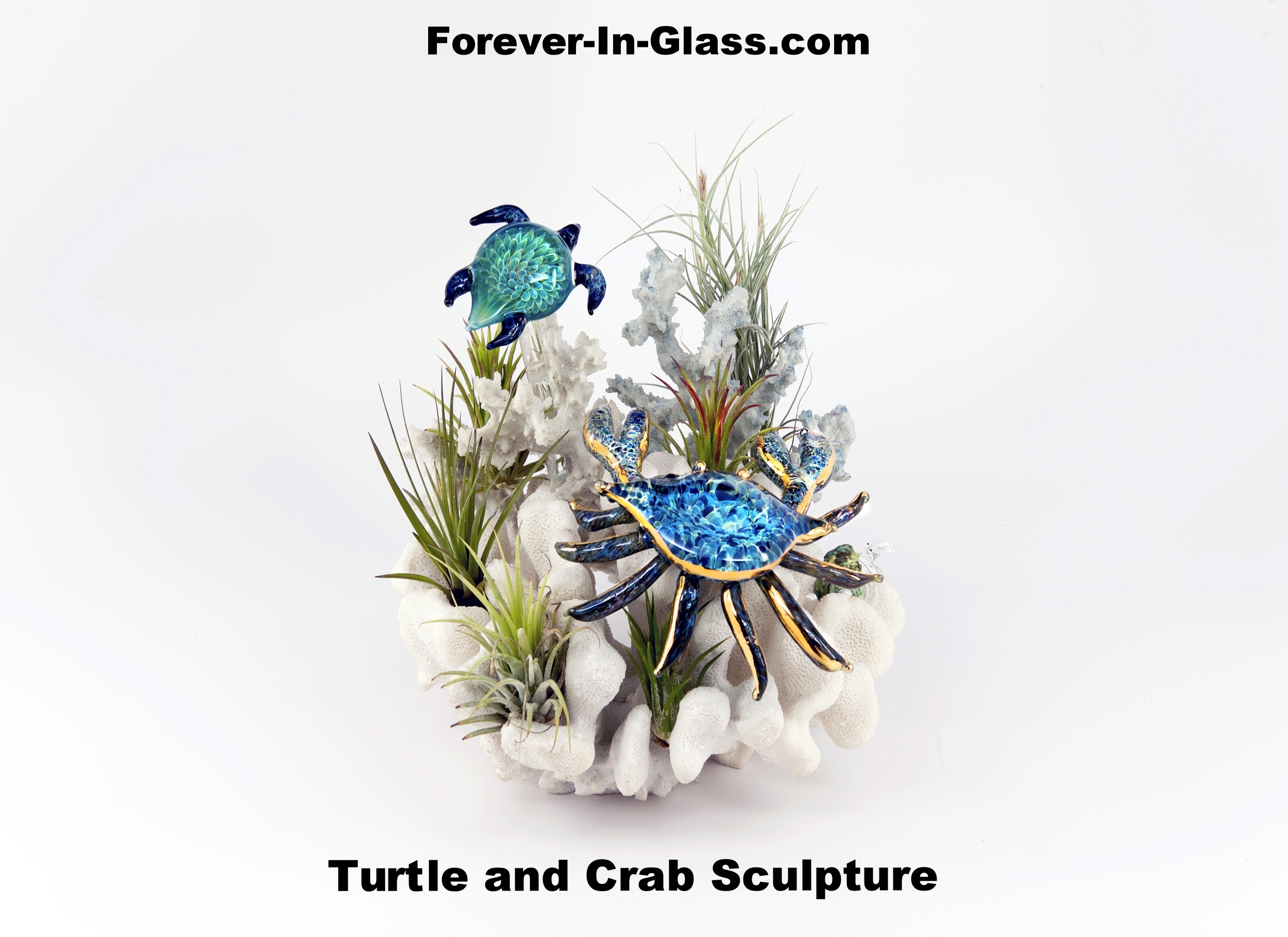 crab and turtle over coral.jpg