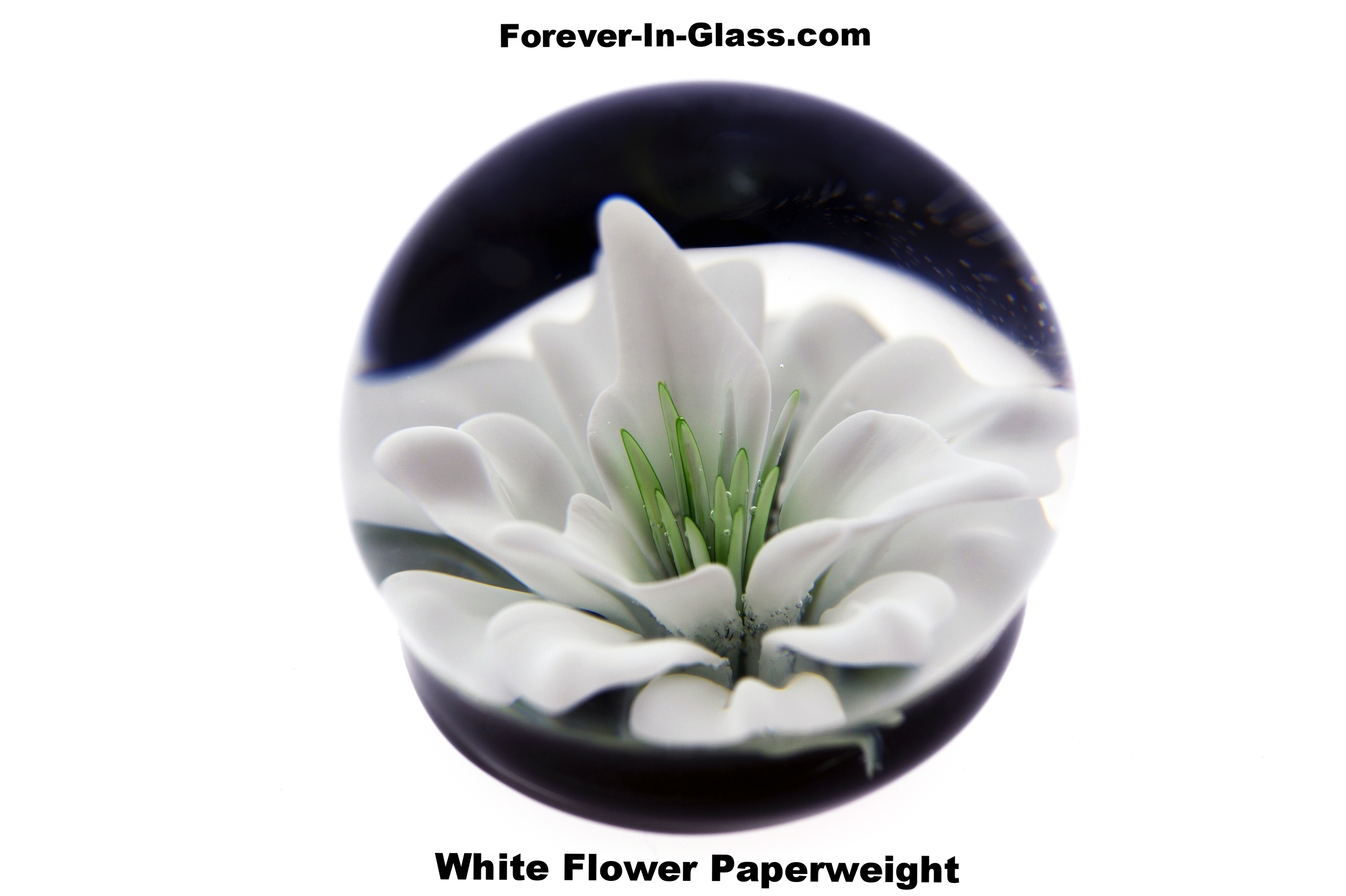 White Flower Paperweight.jpg