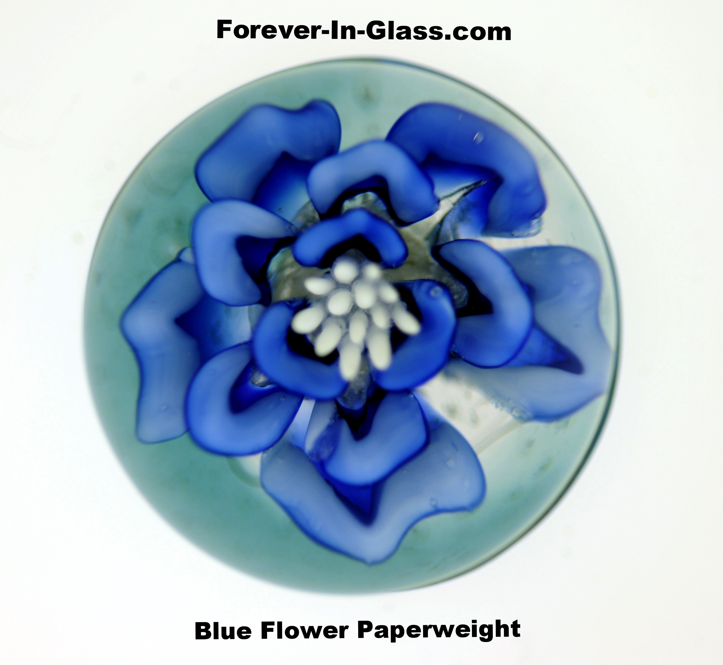 Blue Flower Paperweight.JPG