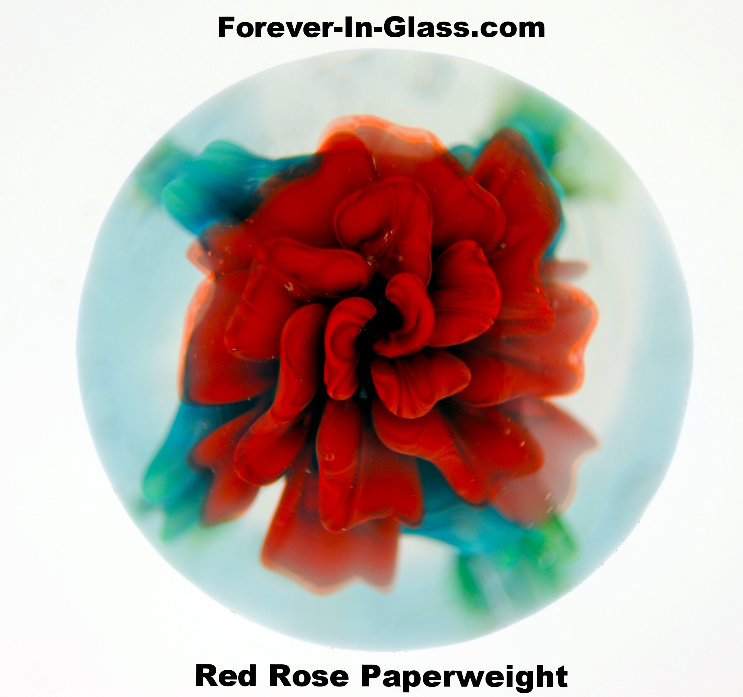 Red Rose Paperweight.JPG