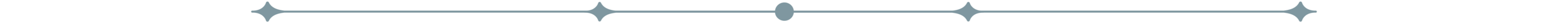 image_header_r2_separator.png
