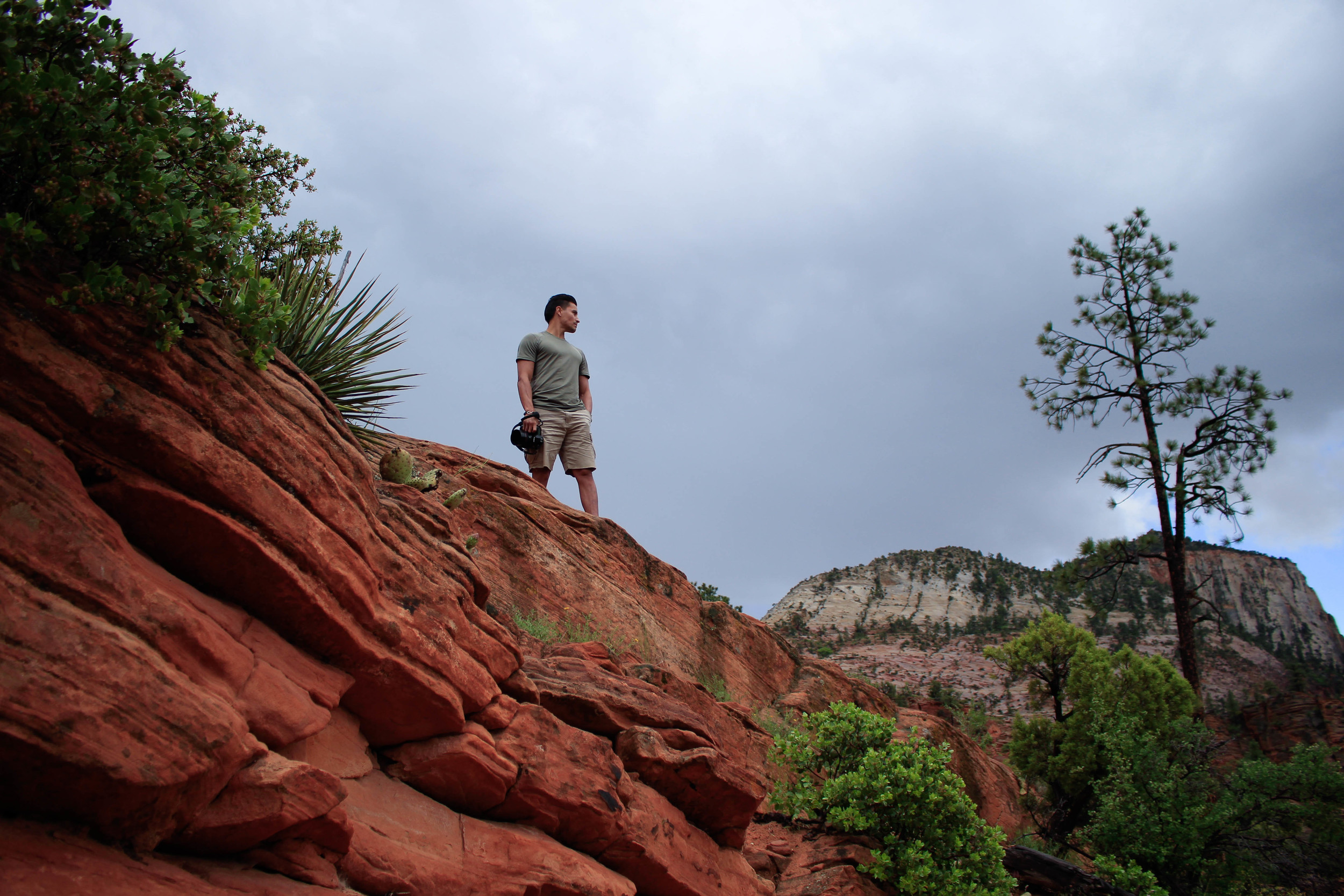 Zion National Park, Utah. 