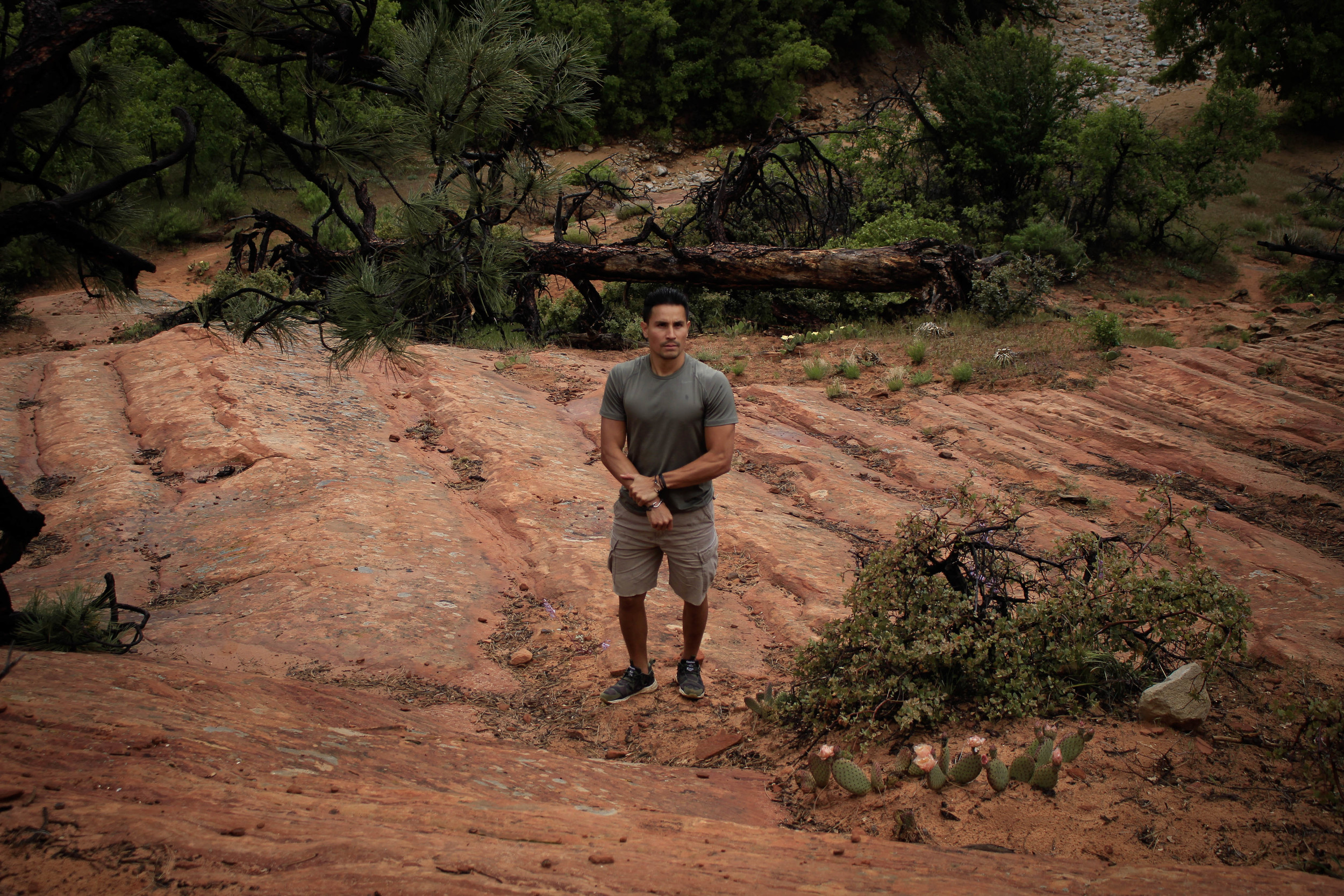  Zion National Park, Utah.&nbsp; 