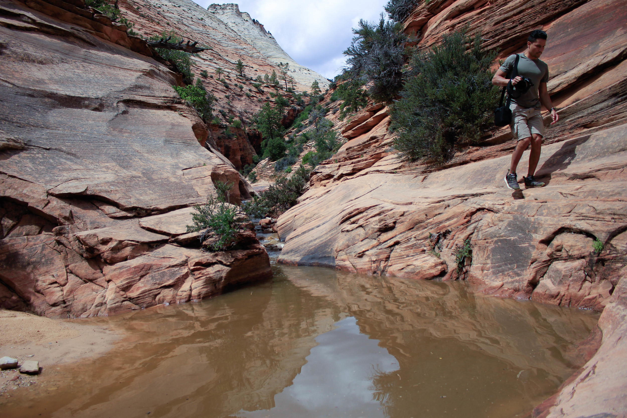 Zion National Park, Utah. 