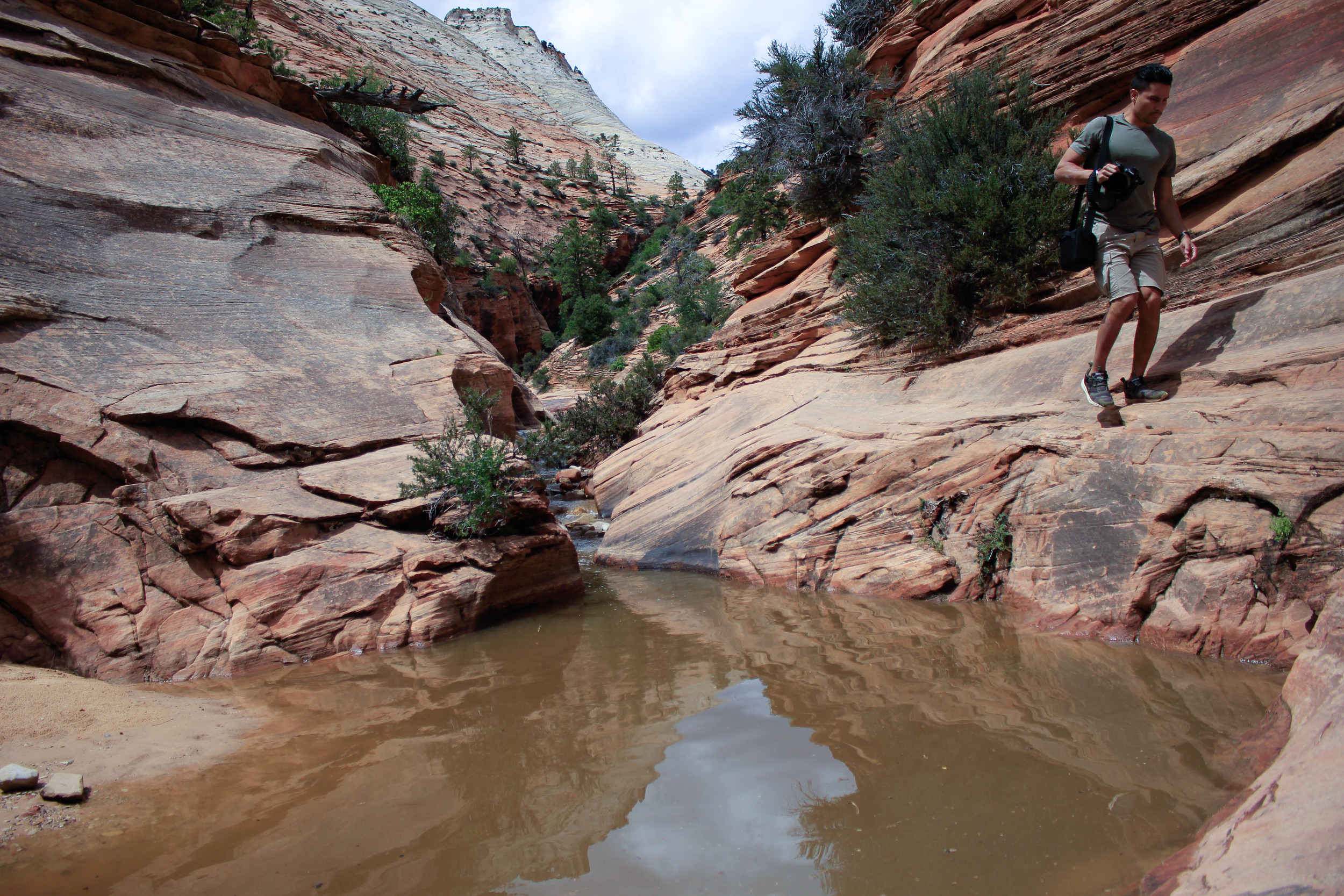  Zion National Park, Utah.&nbsp; 