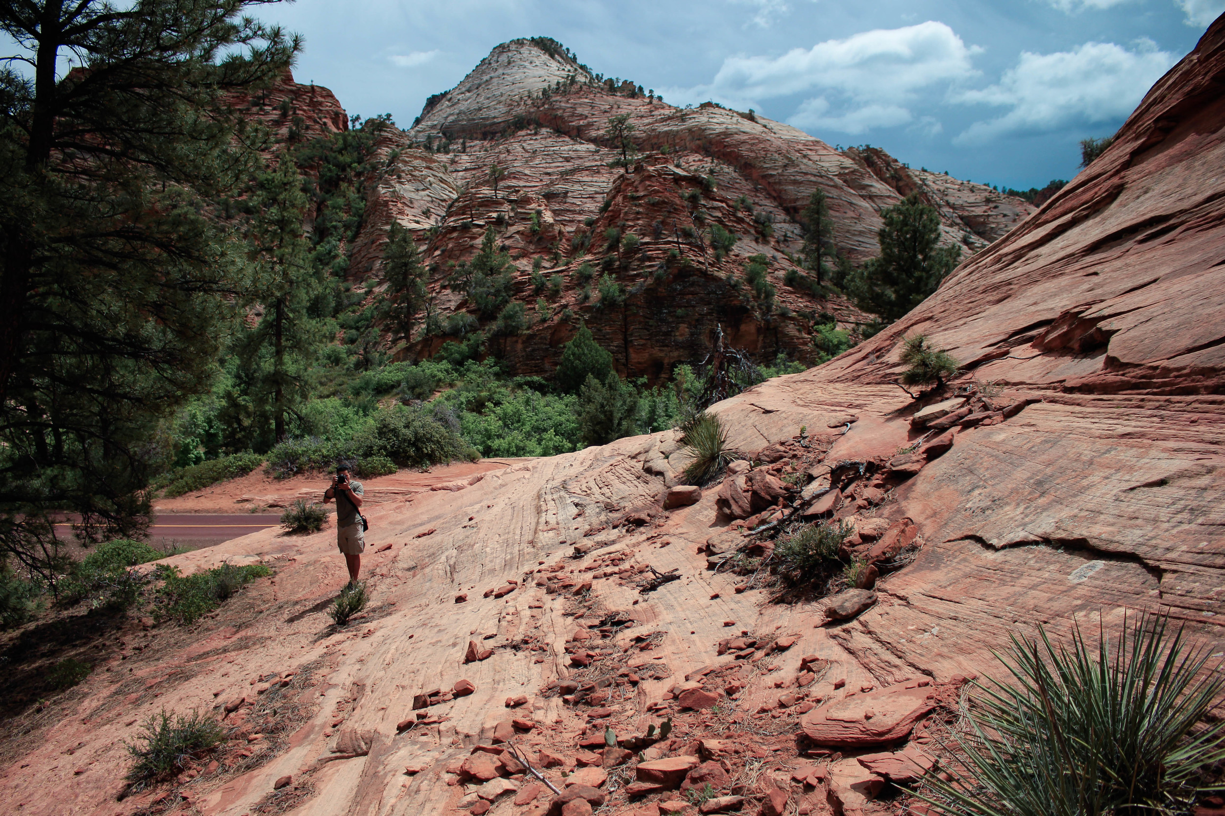 Zion National Park, Utah. 