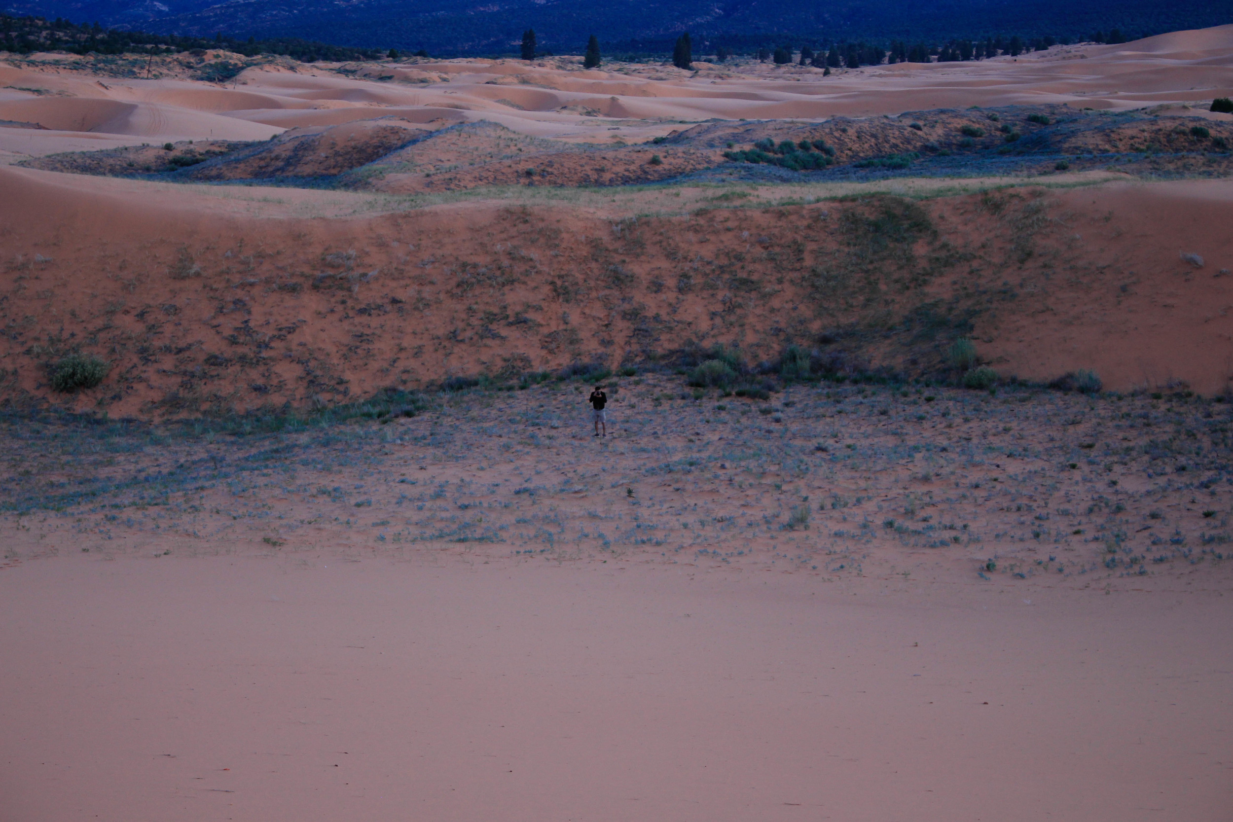  Pink Sand Dunes State Park, Utah. I love the blues here.&nbsp; 