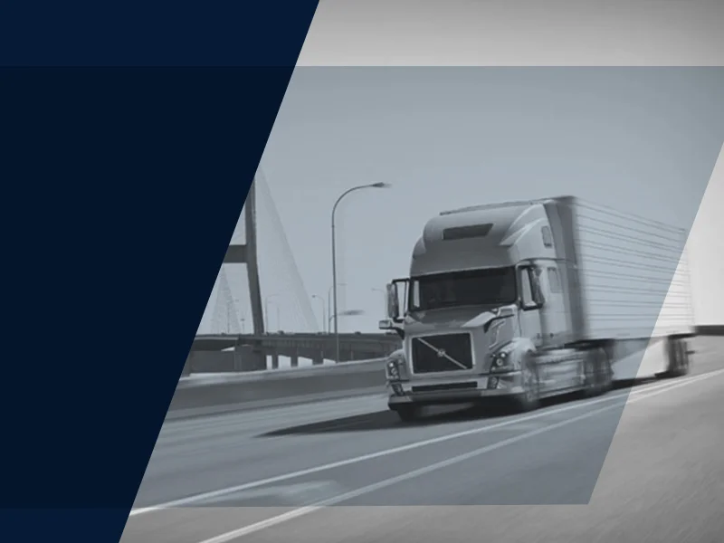 Aleman Web Image.jpg