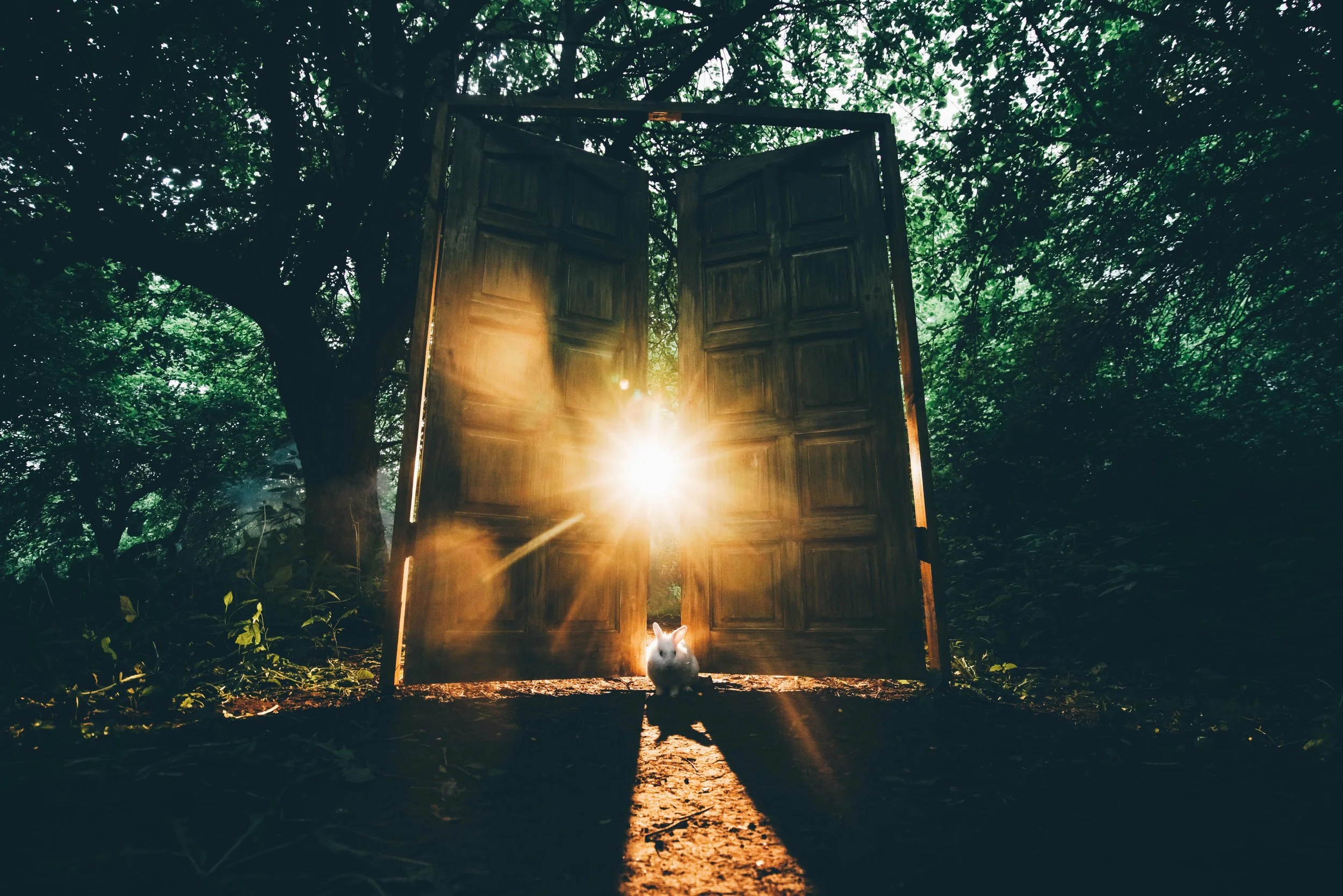 Corporate Storytelling StoryDiggers.jpg