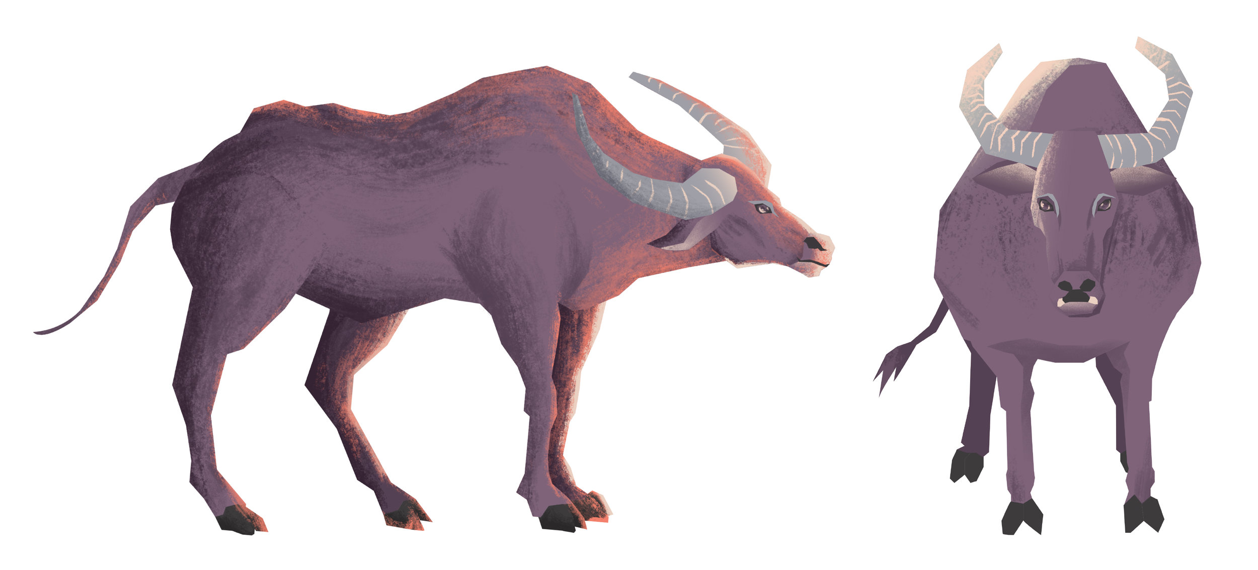 Carabao.jpg
