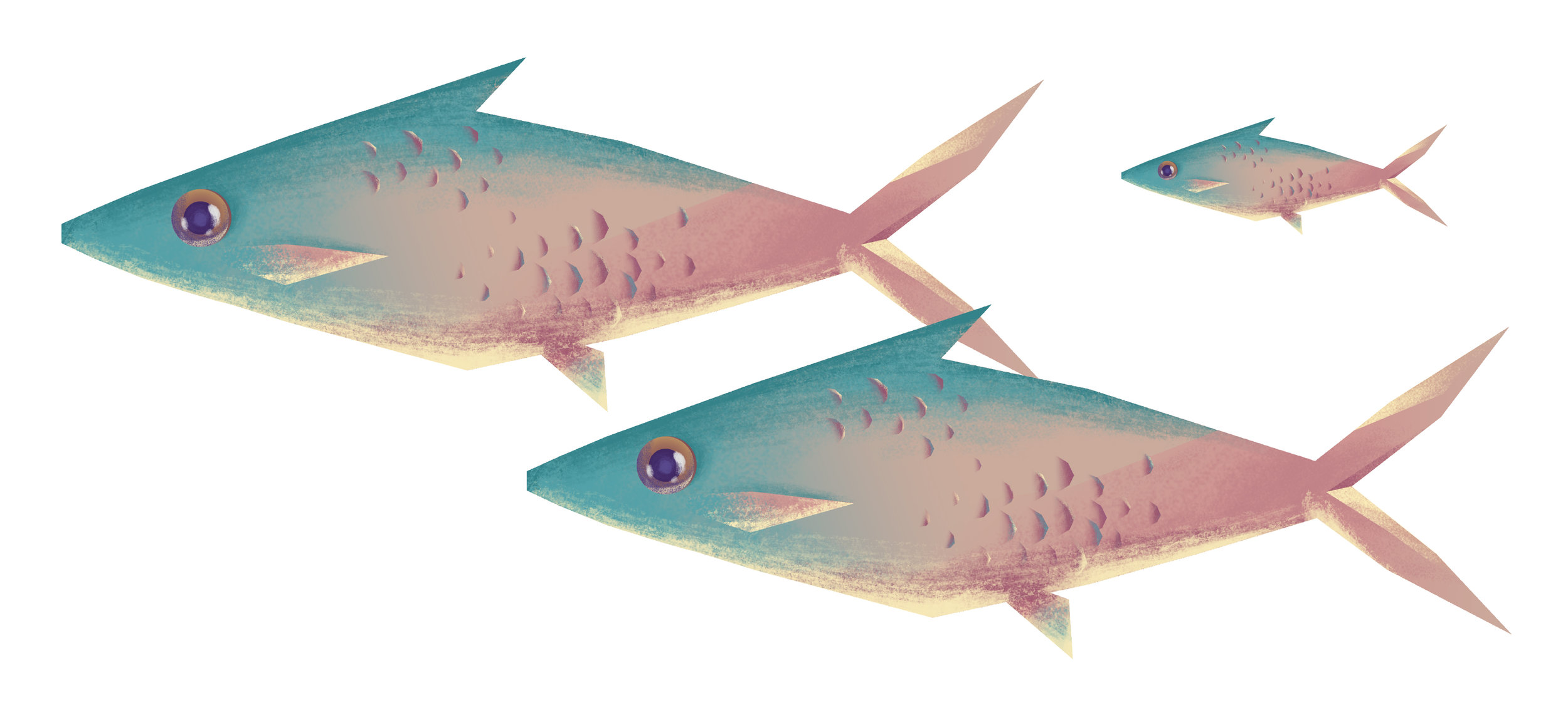 Fish.jpg