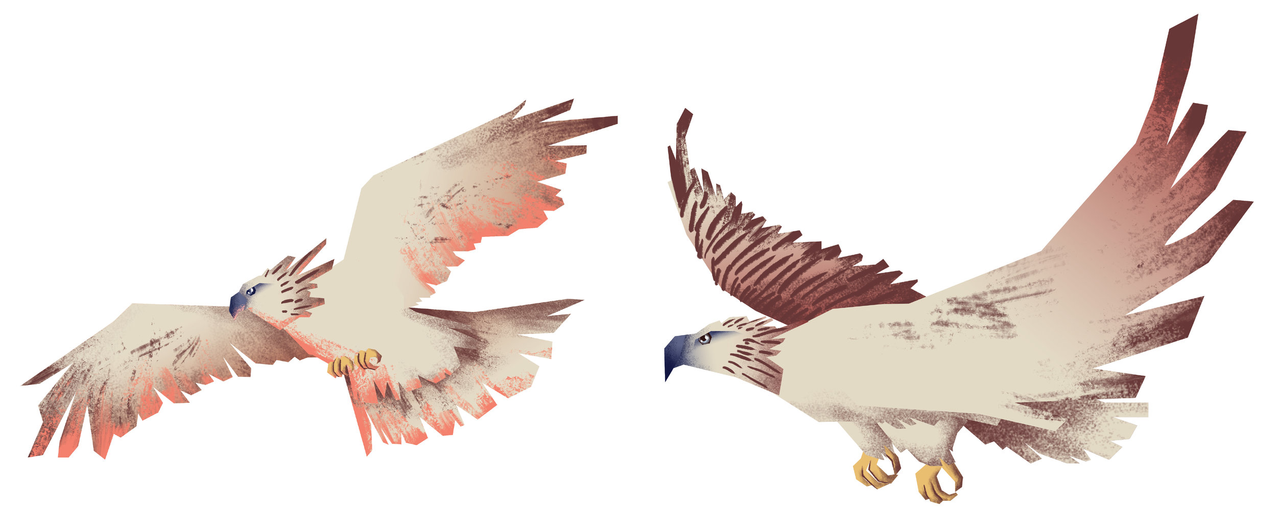 Eagle.jpg