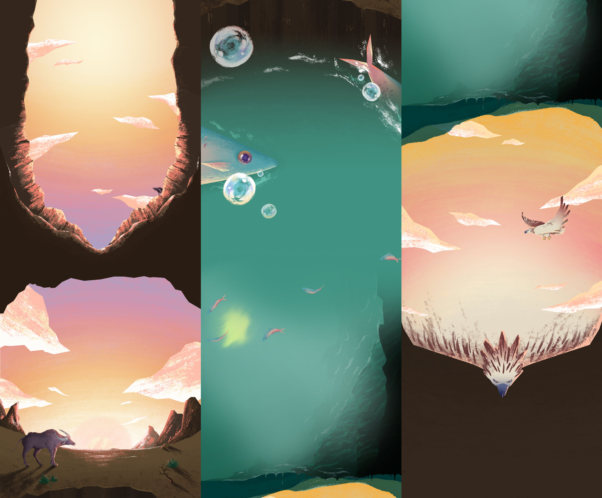 WEBSITE ASSETS