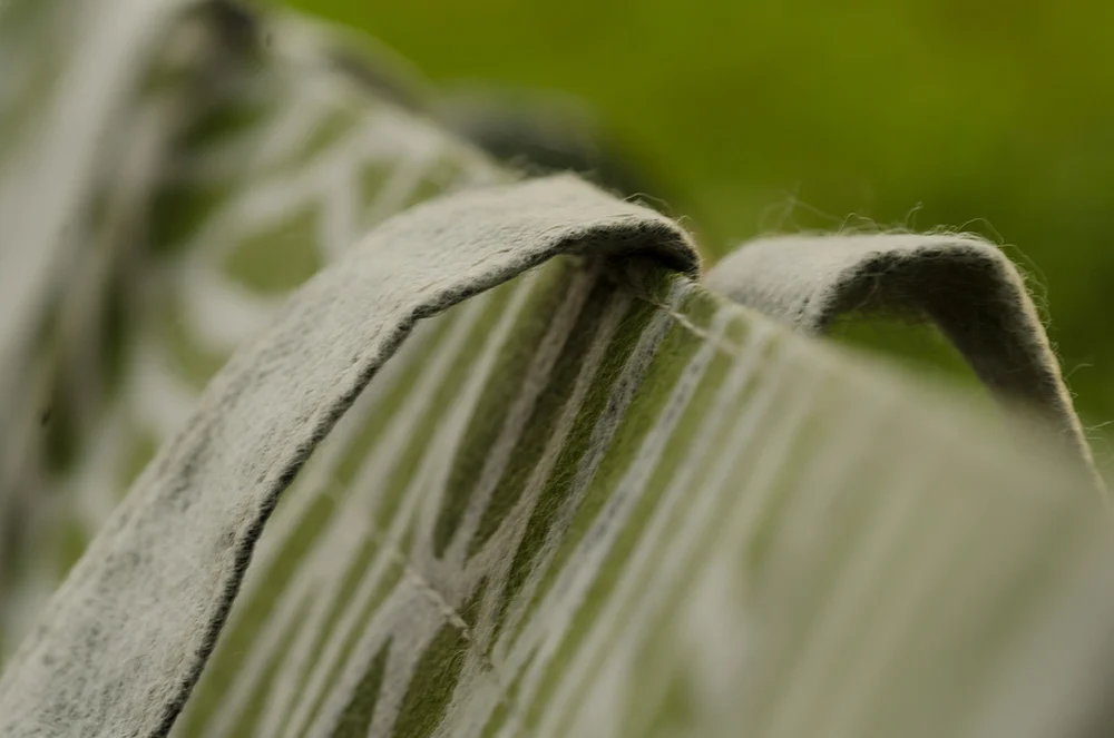 c-bags voor Burltex // single cyclus ecologische draagtassen // PP non woven bedrukte draagtassen met speciale behandeling