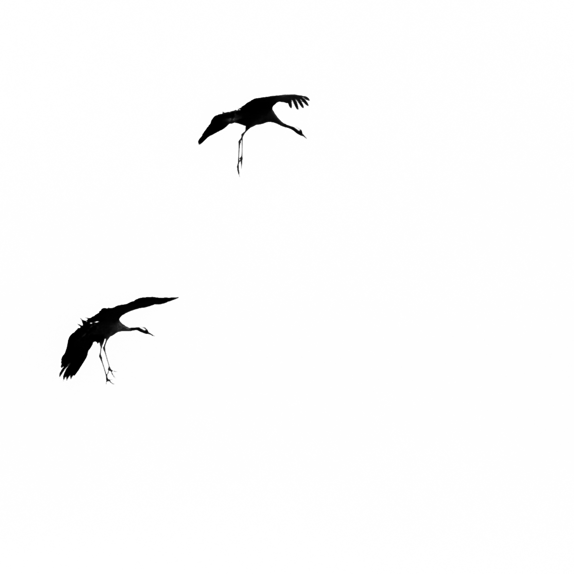 In for landing