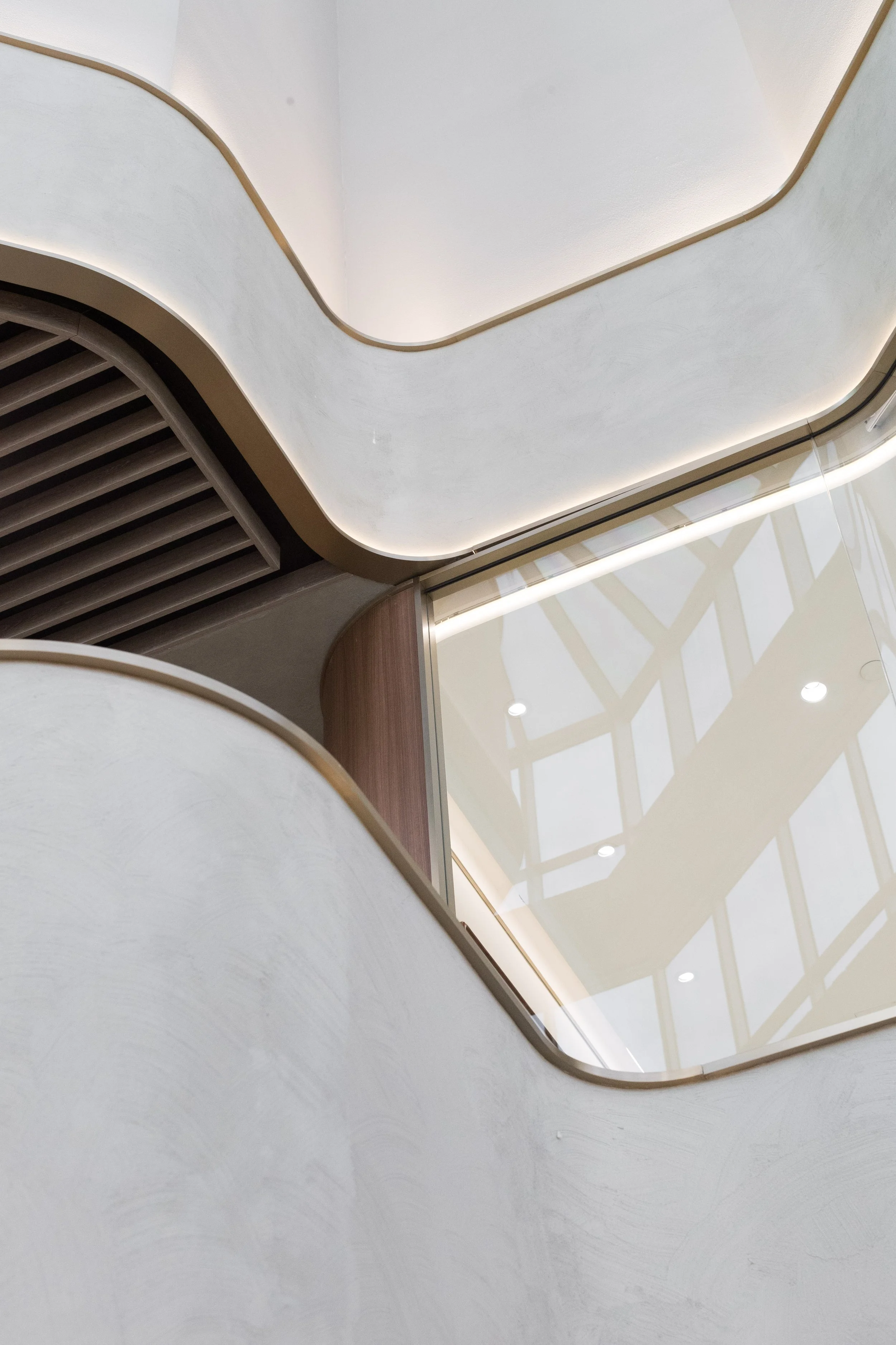 20161202 GCO-What The Fox-0064.jpg