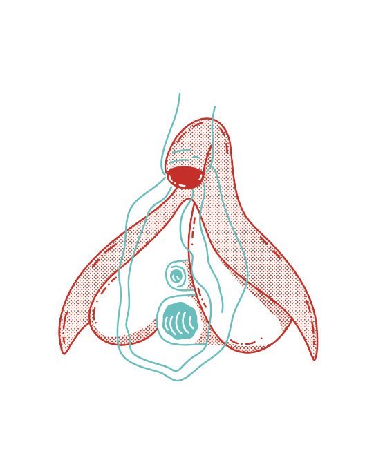 brunhilda illustration book děti to chtěj vědět taky konsent clitoris.jpg